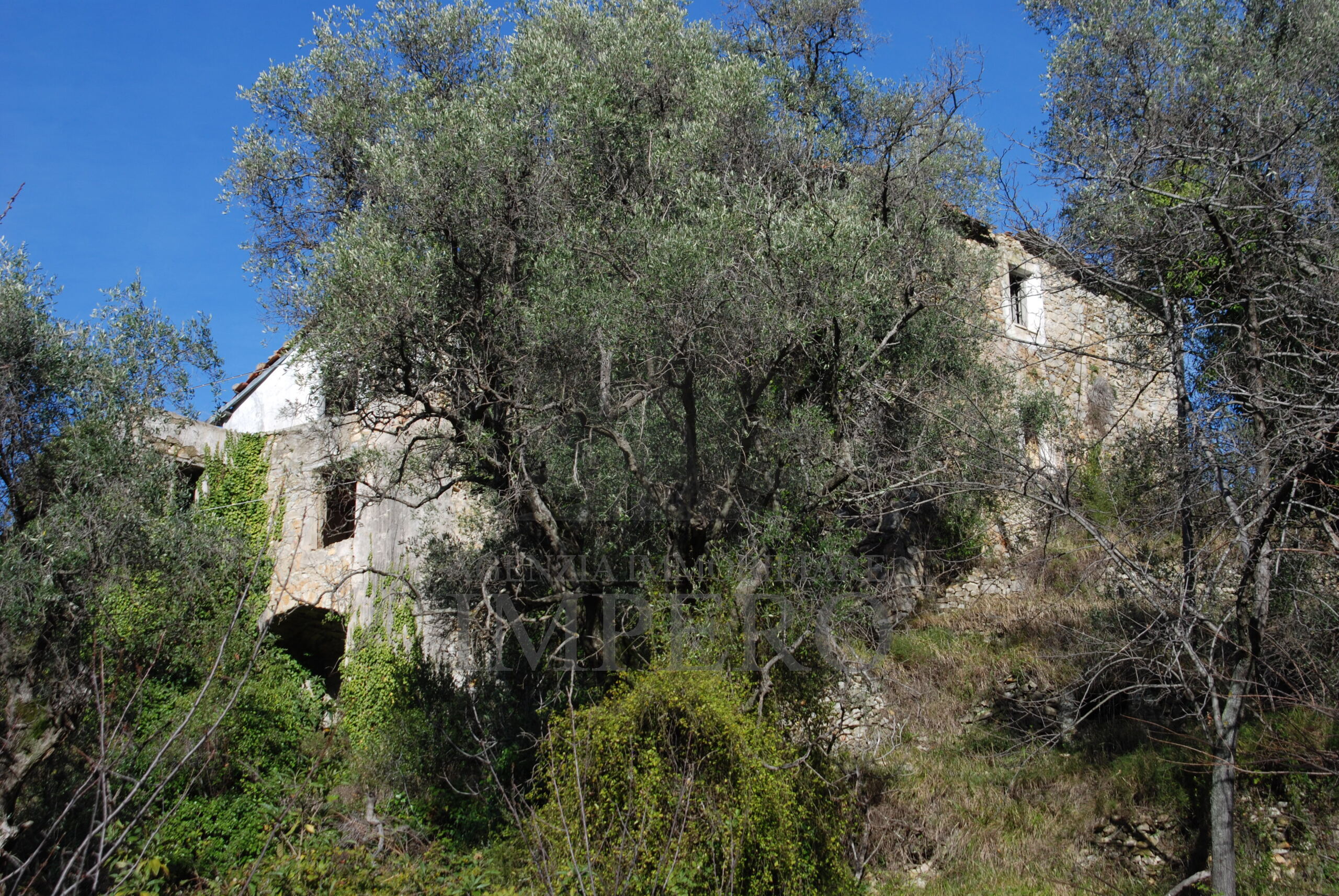 Foto annuncio 18