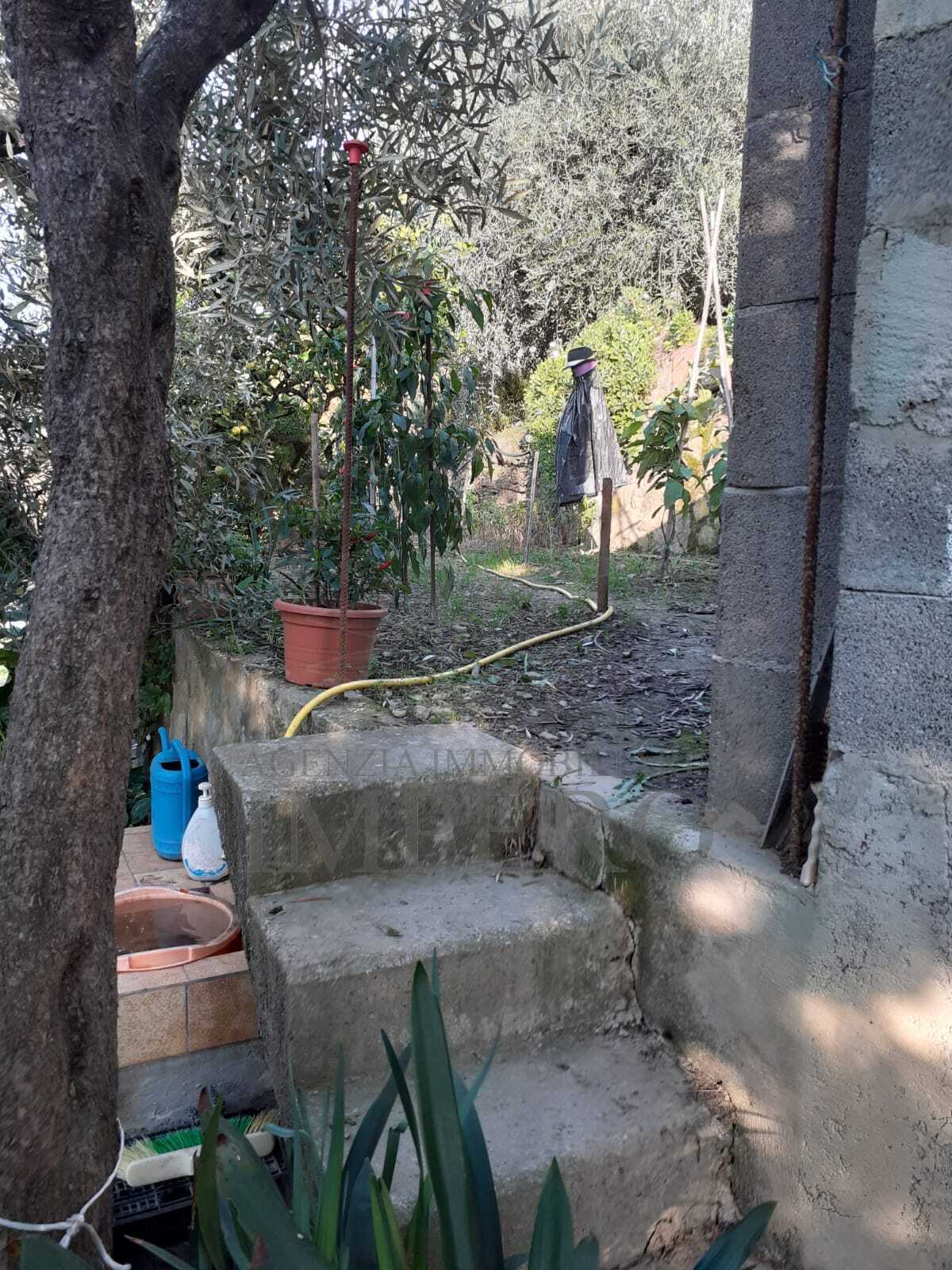 Foto annuncio 23