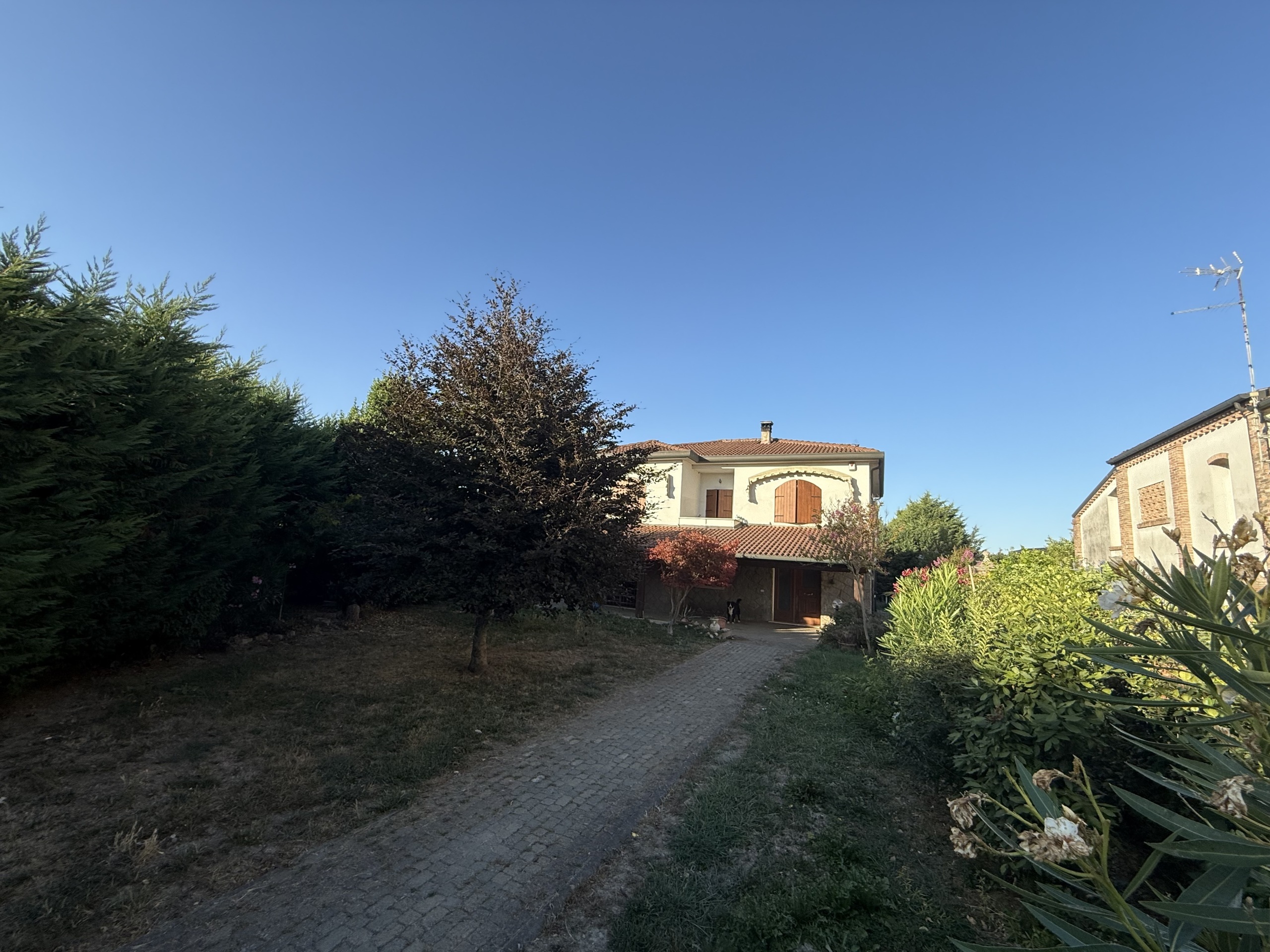 Foto annuncio 2