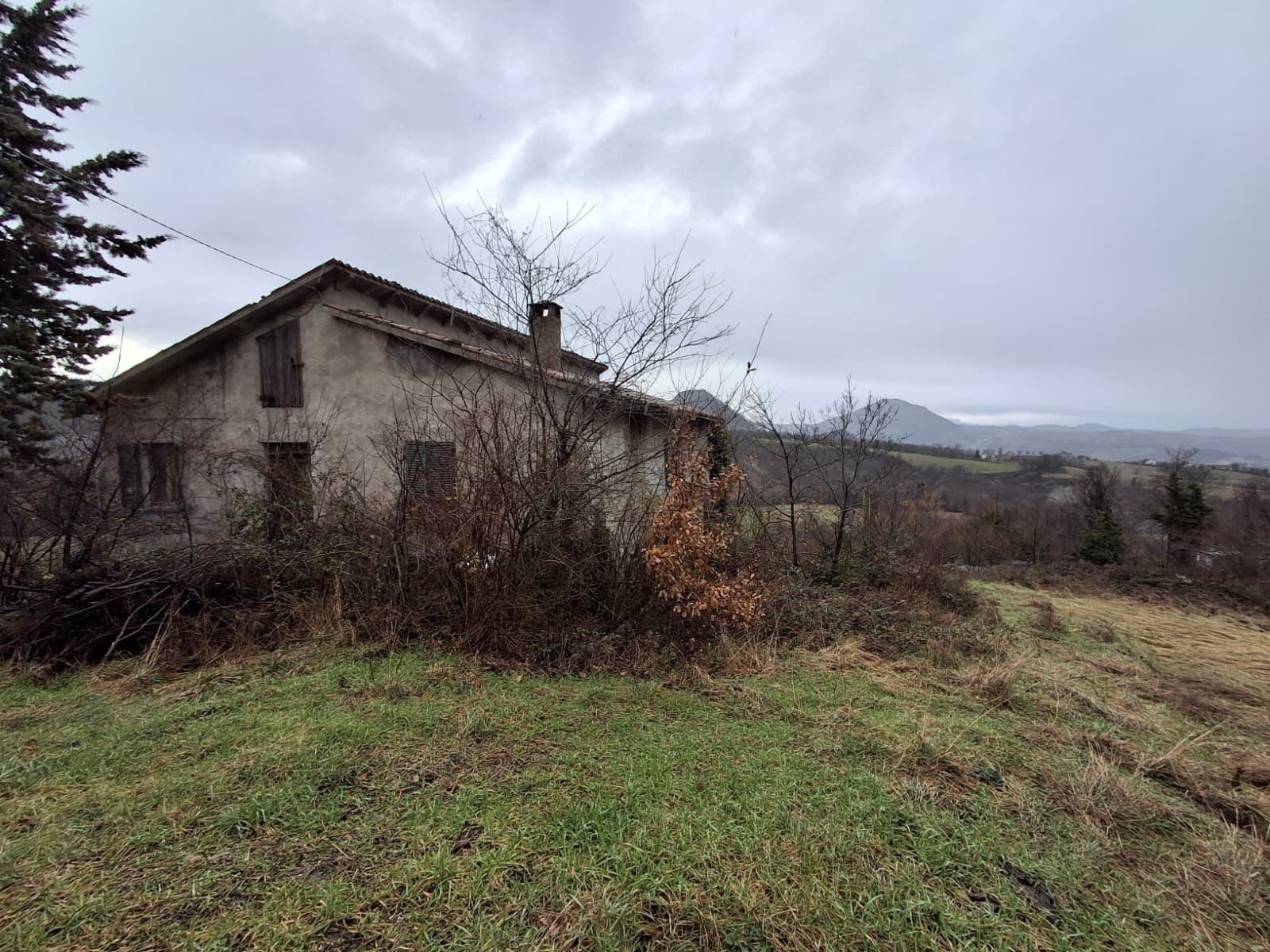 Foto annuncio 5