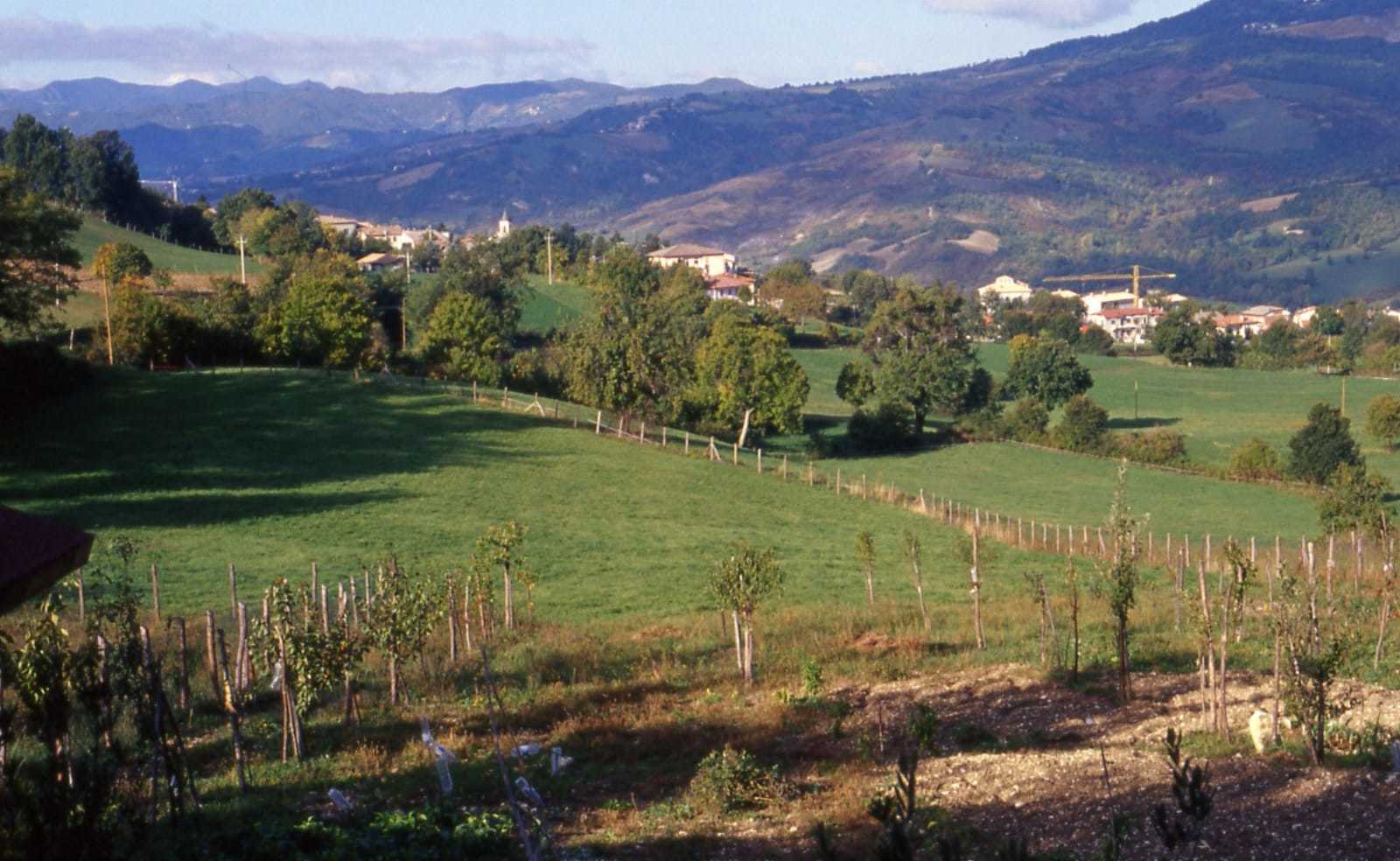 Foto annuncio 8