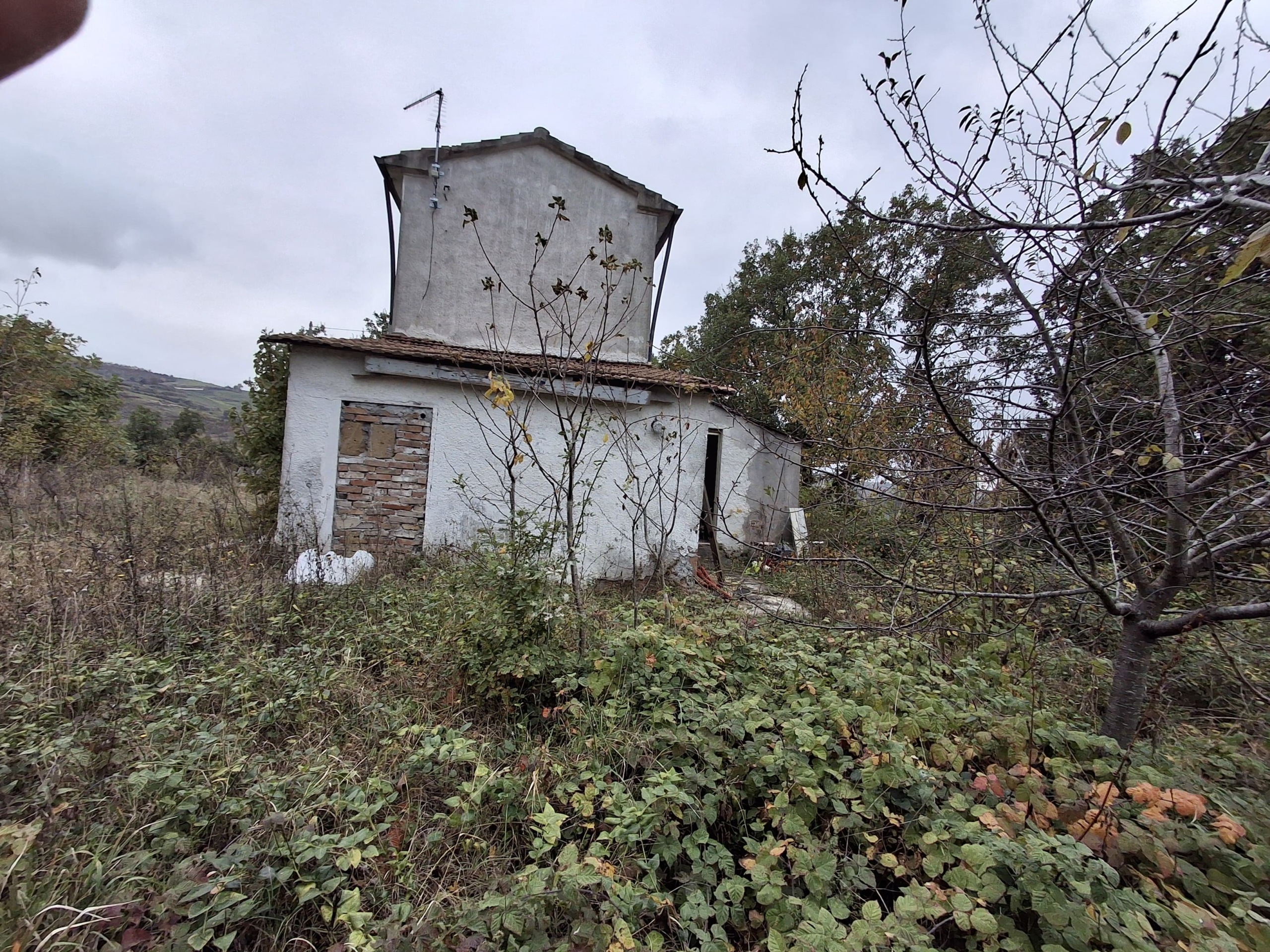 Foto annuncio 4