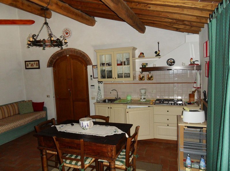 Immagine 4 di Rustico / casale in vendita  in Via per massaciuccoli a San Giuliano Terme