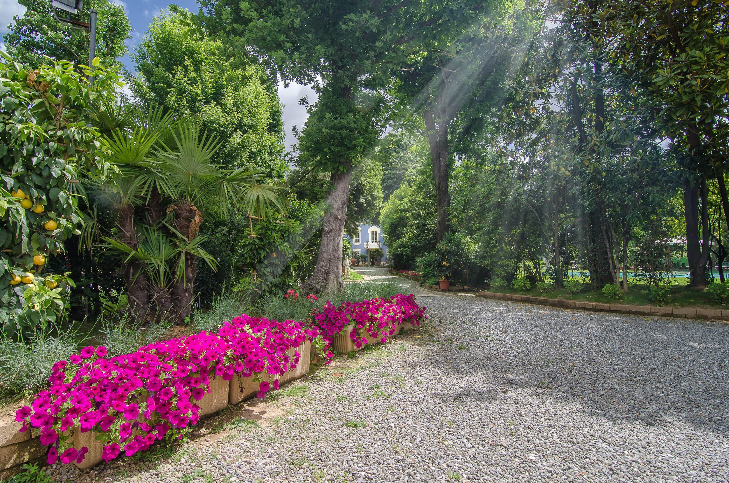 Immagine 6 di Albergo/B&B/Residence in vendita  in Via di Vicopelago e di Pozzuolo a Lucca