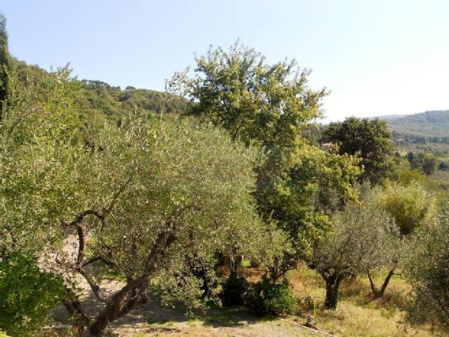 Foto annuncio 6