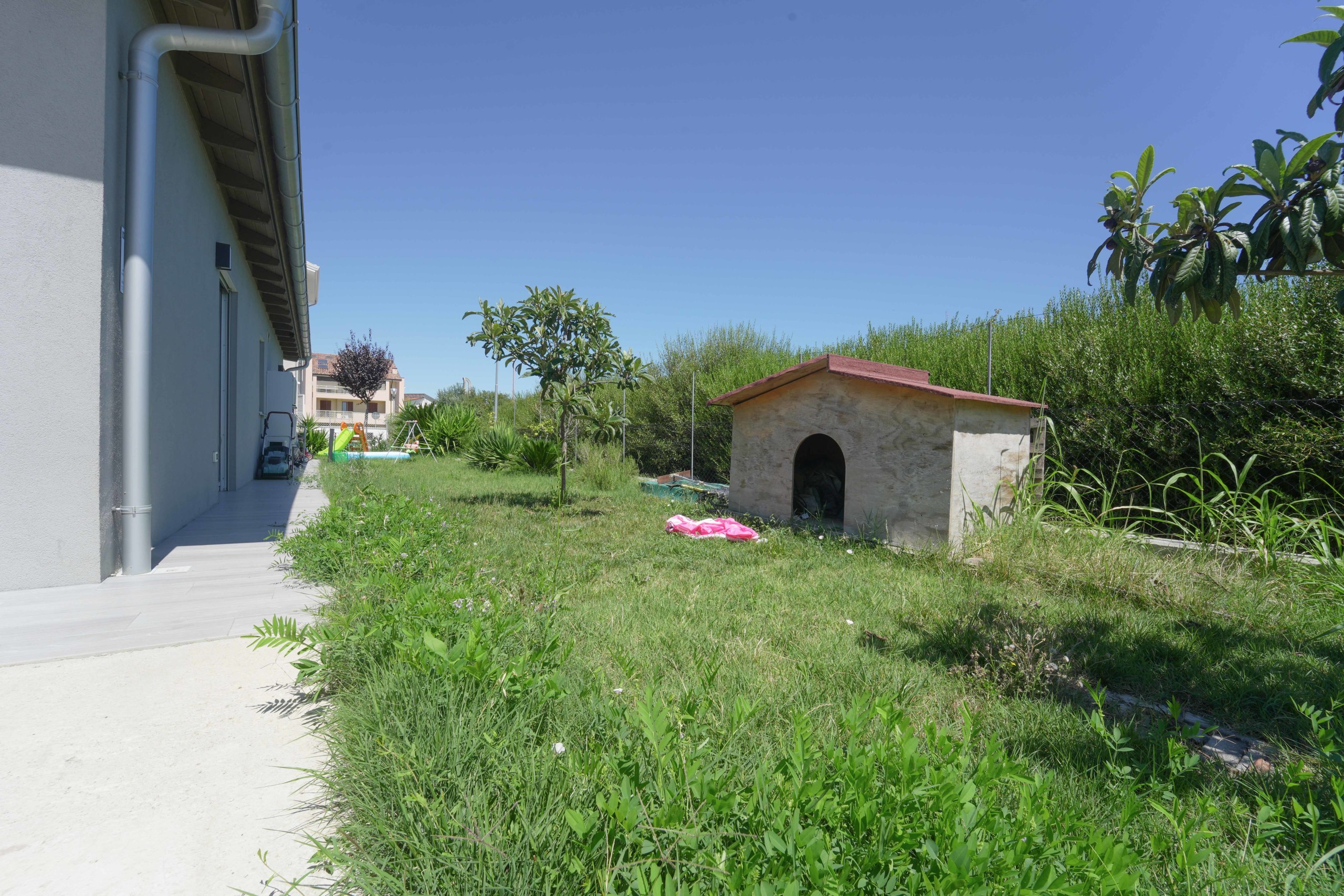 Foto annuncio 38