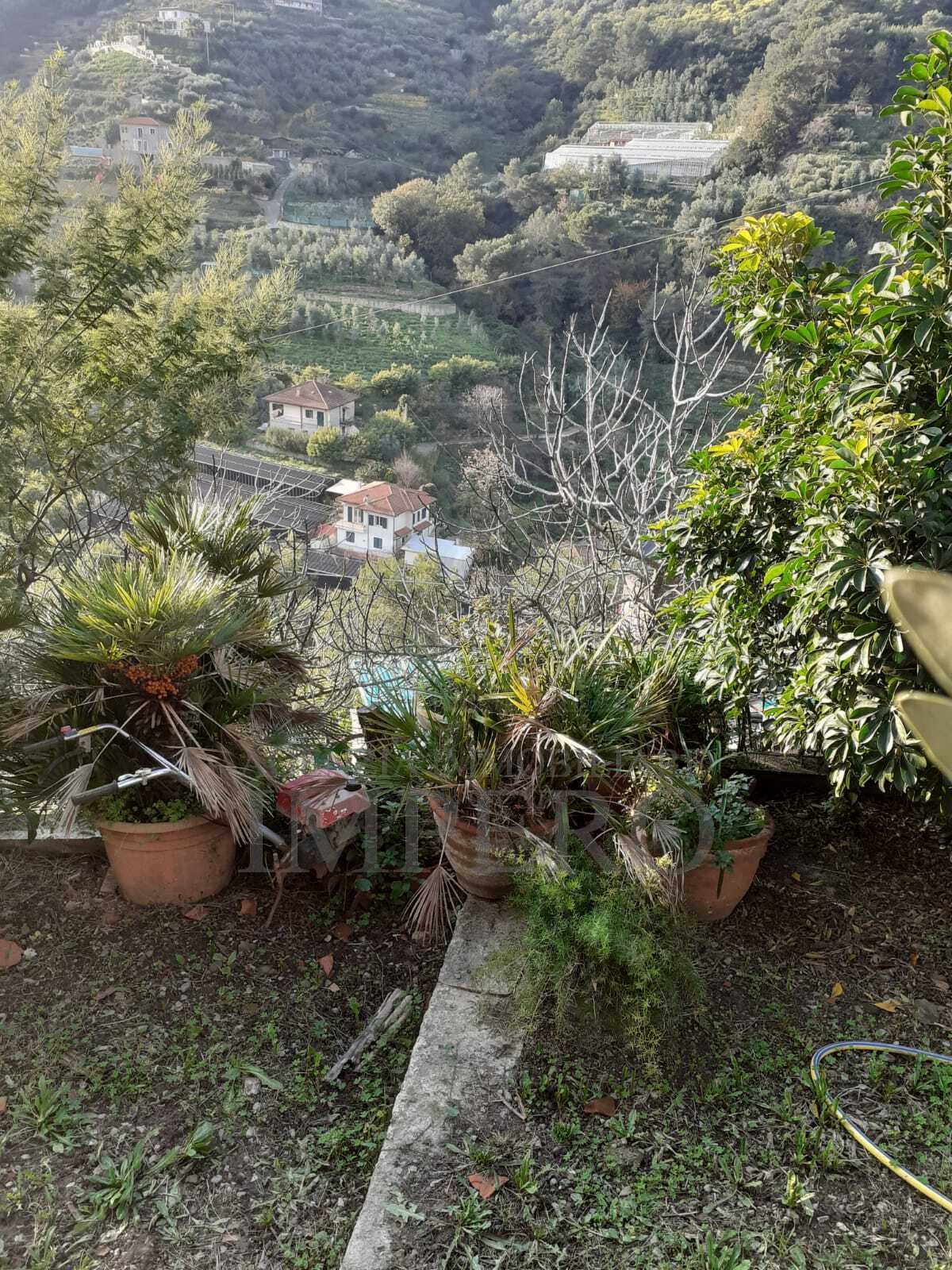 Foto annuncio 19
