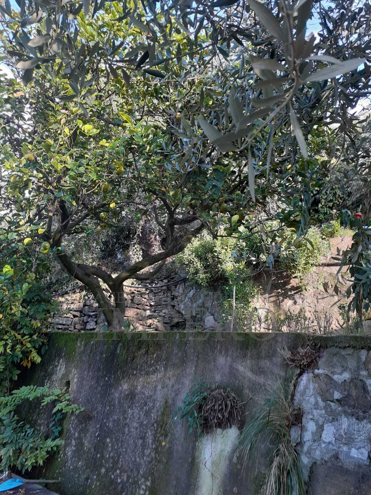Foto annuncio 18