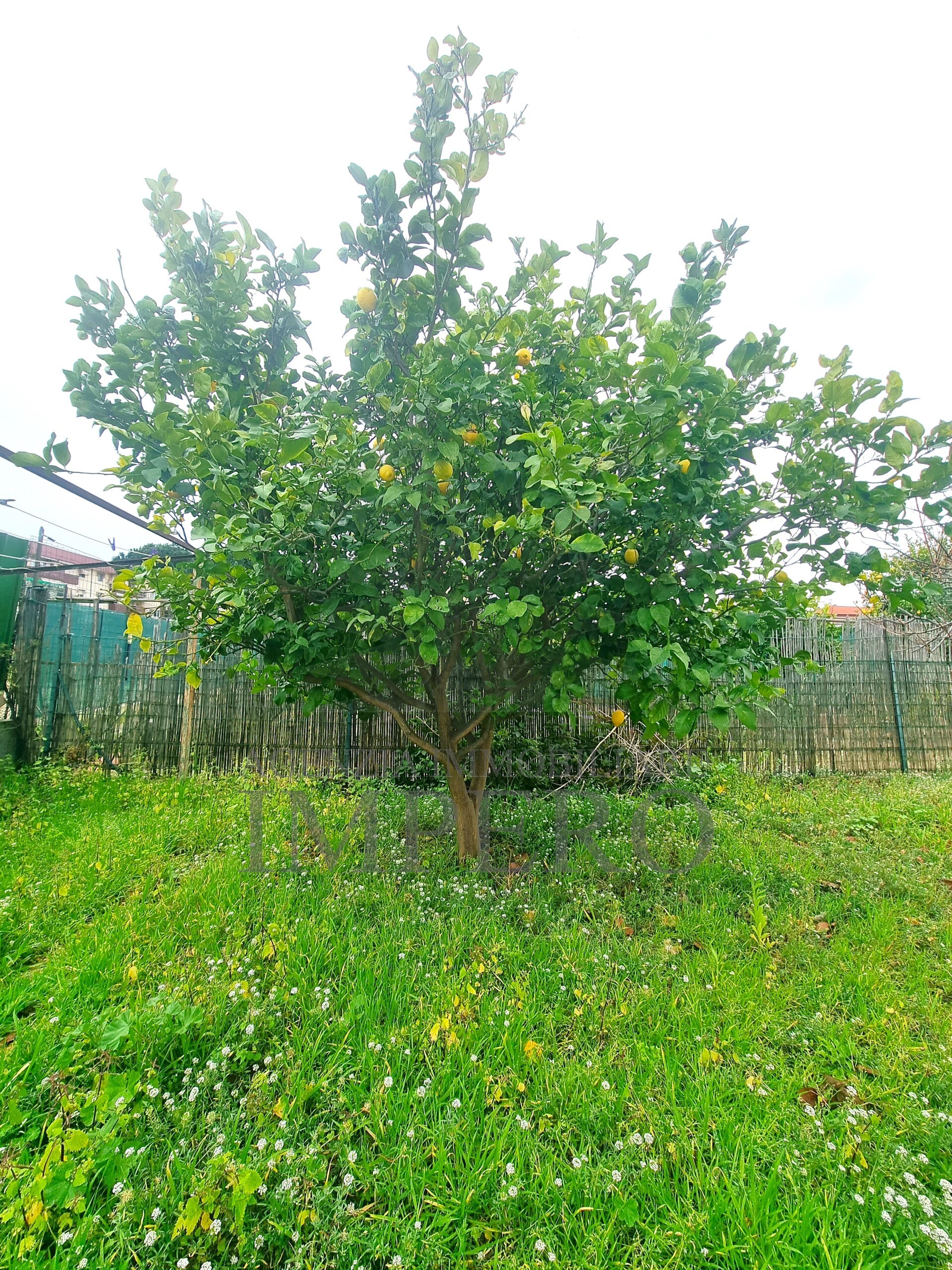 Immagine 26 di Casa indipendente in vendita  in Via alla Spiaggia 21 a Ventimiglia