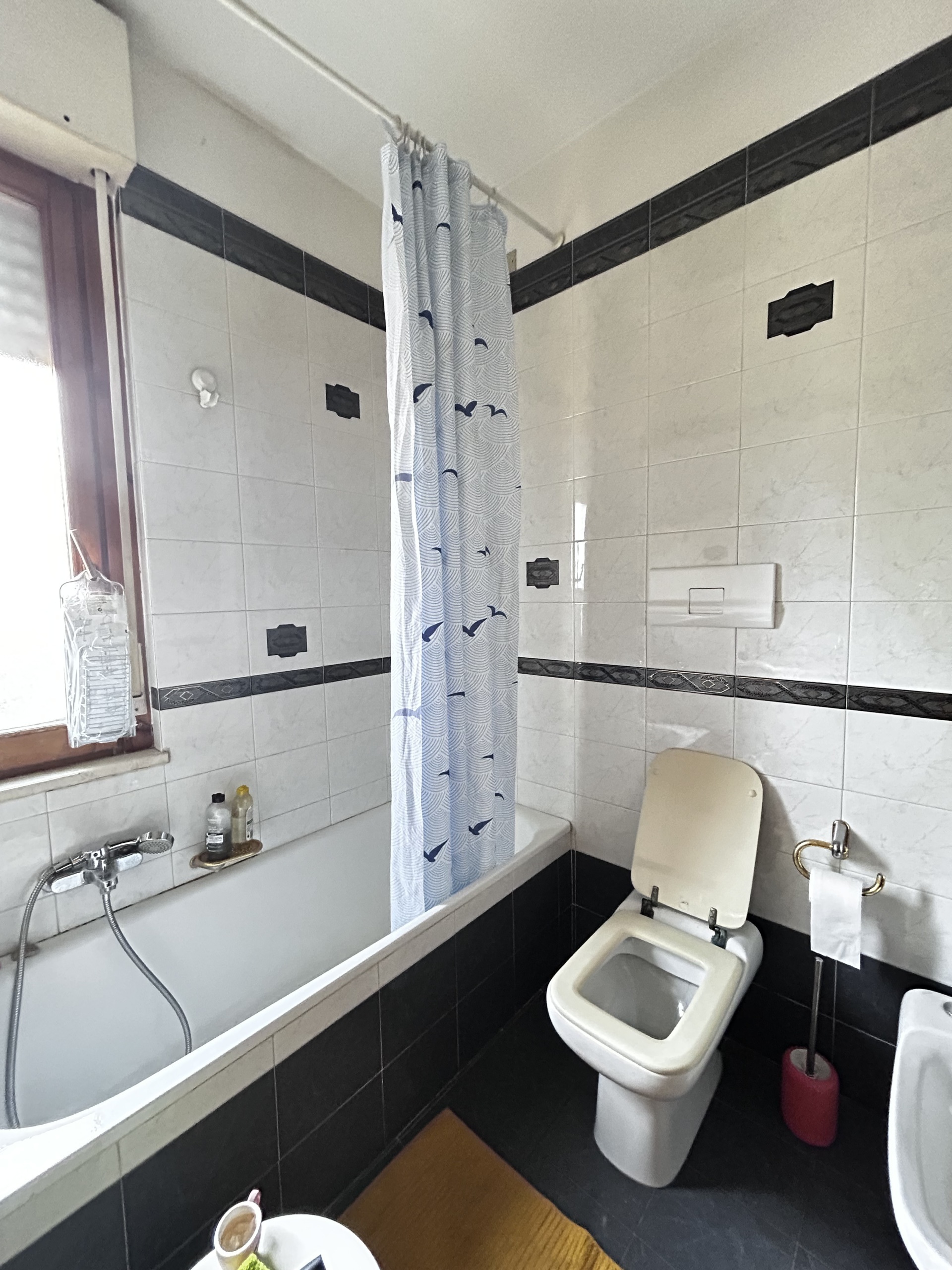 Immagine 9 di Pentalocale in vendita  in Viale Maiella 23/A a Francavilla Al Mare