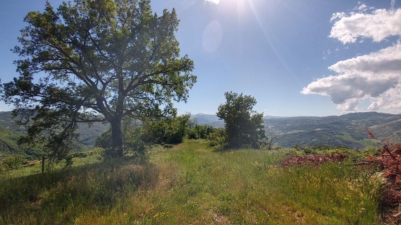 Immagine 14 di Rustico / casale in vendita  a Zocca