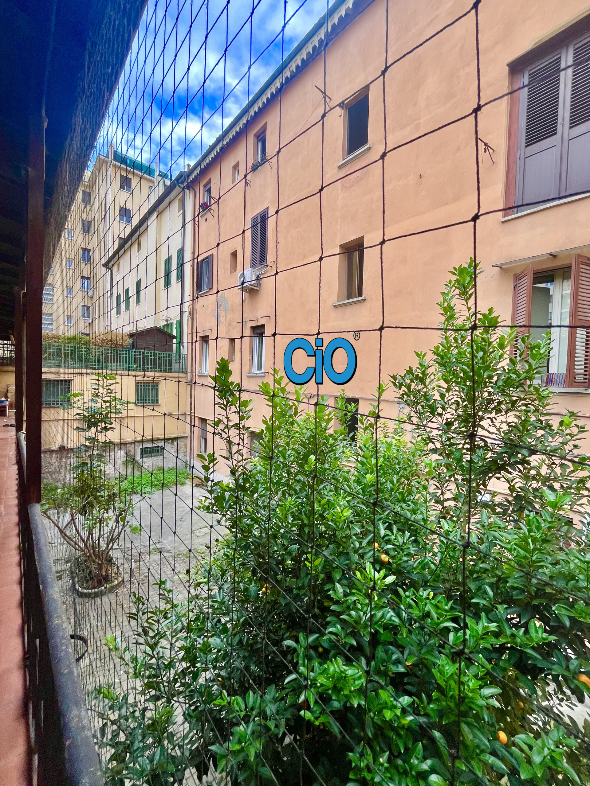 Immagine 6 di Attico in affitto  a Bologna