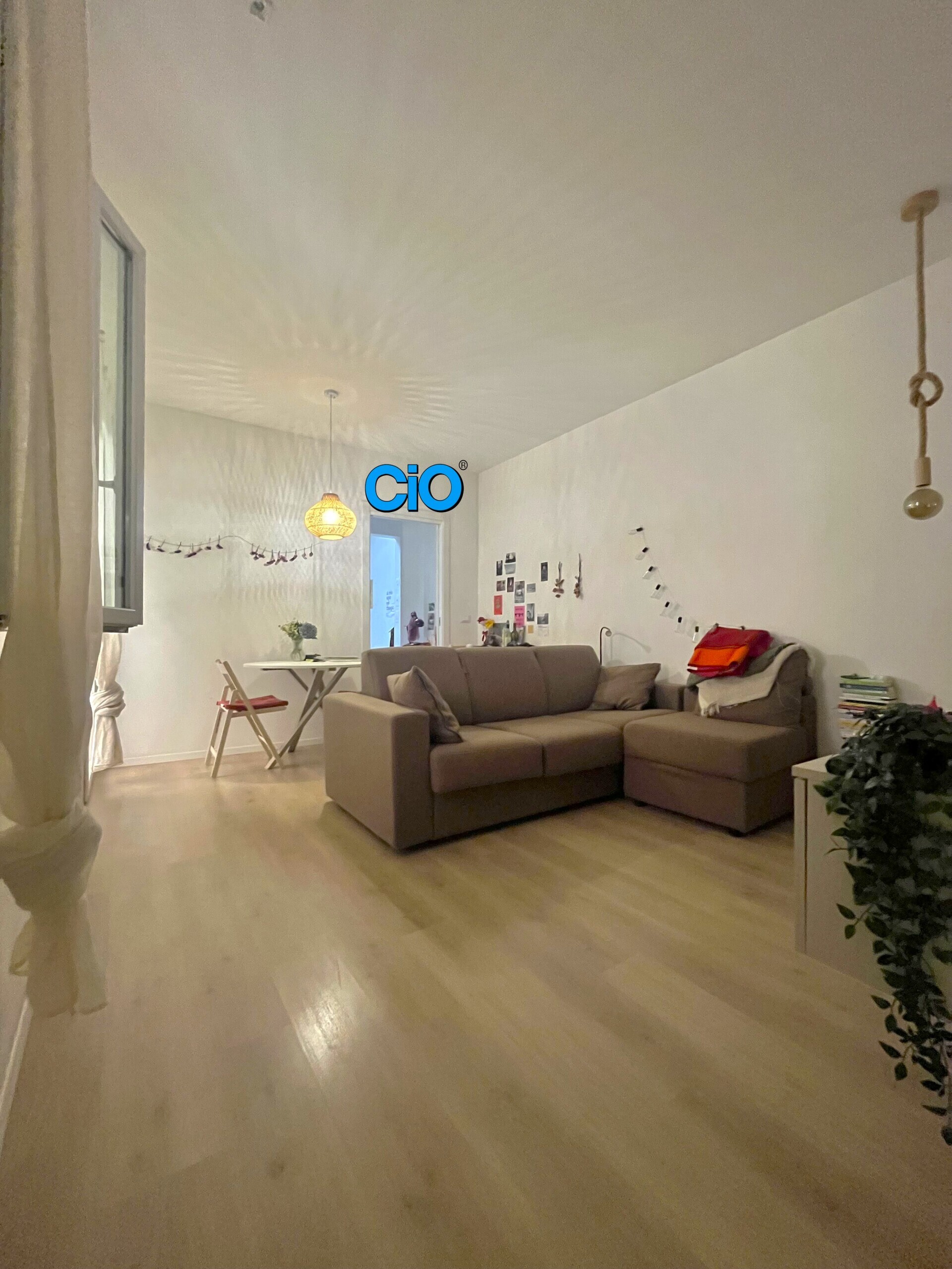 Immagine 1 di Attico in affitto  a Bologna