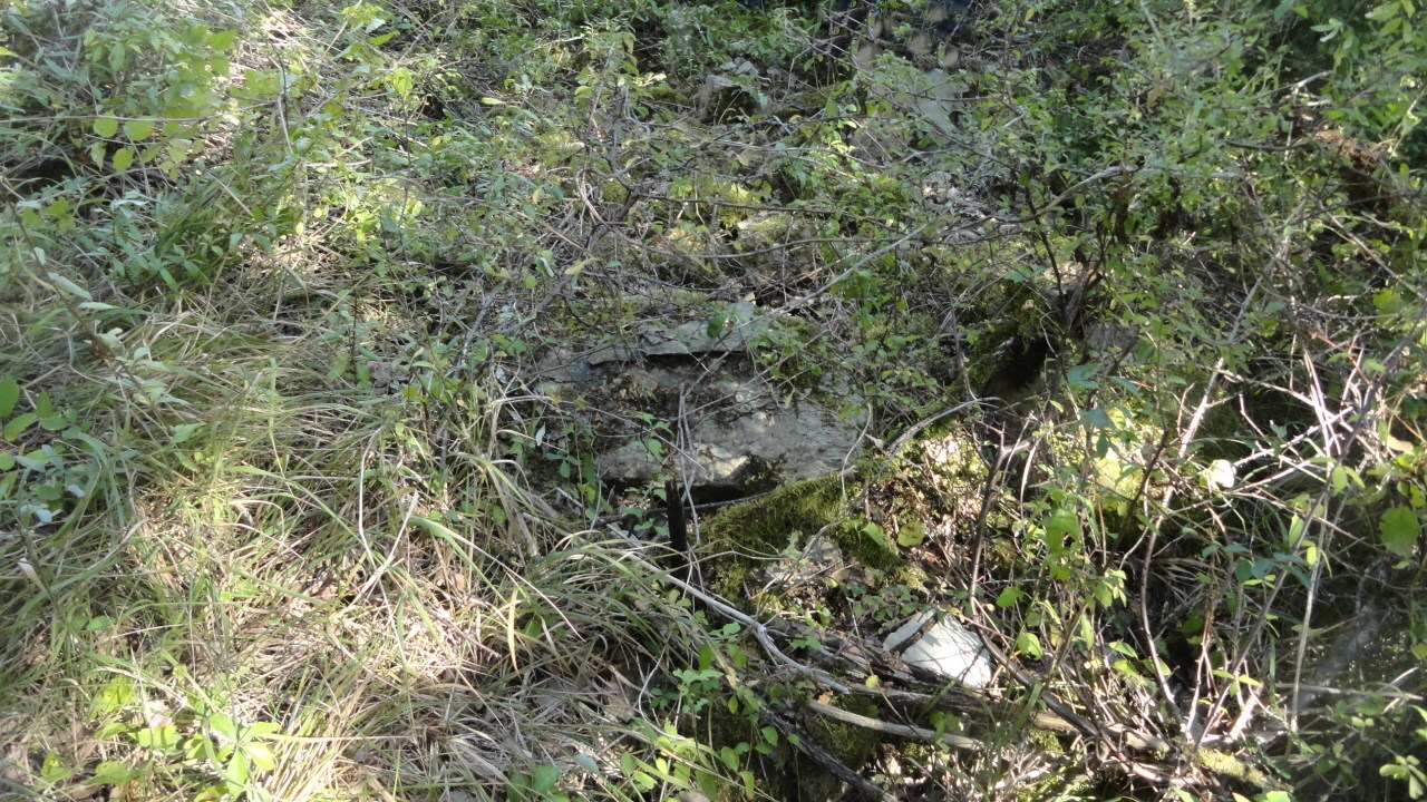 Foto annuncio 7