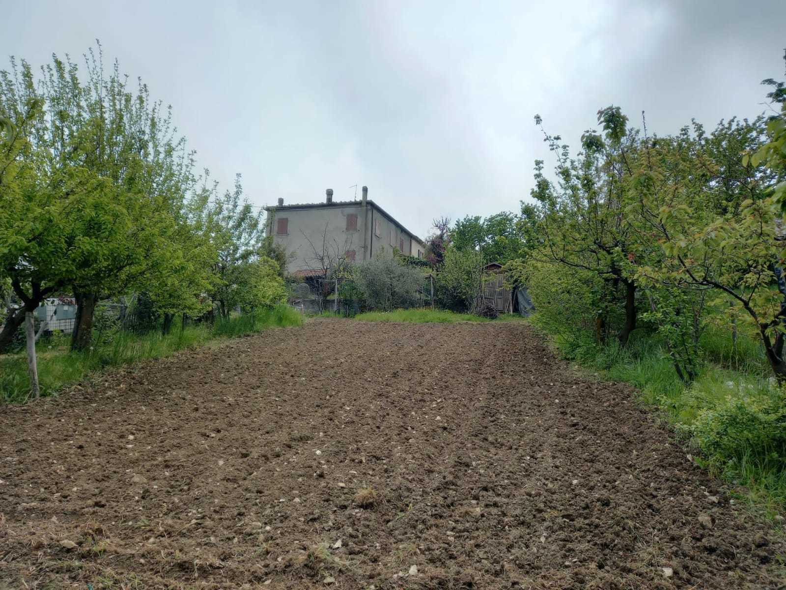Foto annuncio 3