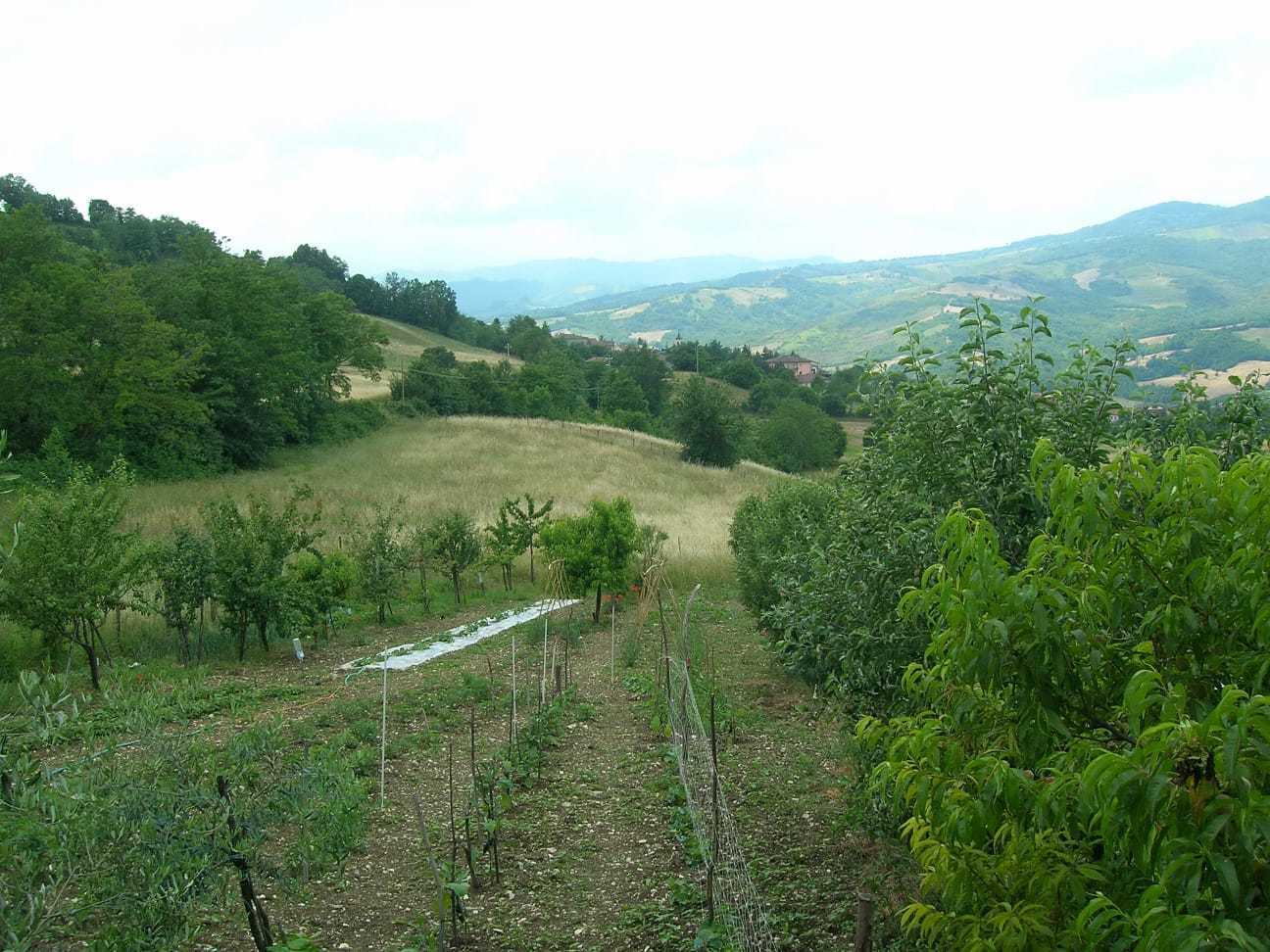 Foto annuncio 7