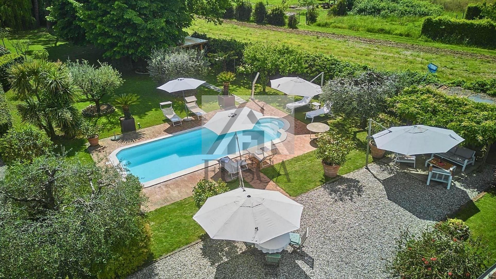 Immagine 5 di Villa in vendita  in Via Barsotto a Lucca