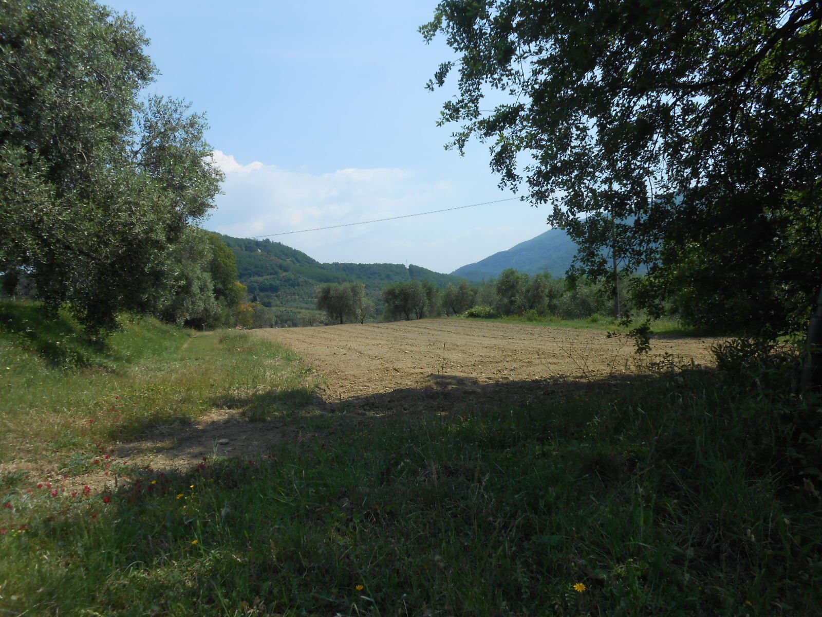 Immagine 17 di Rustico / casale in vendita  in Via per massaciuccoli a San Giuliano Terme