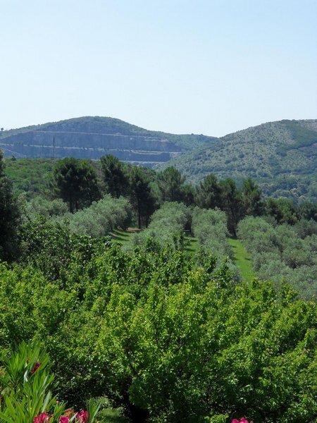 Immagine 34 di Rustico / casale in vendita  in Via per massaciuccoli a San Giuliano Terme