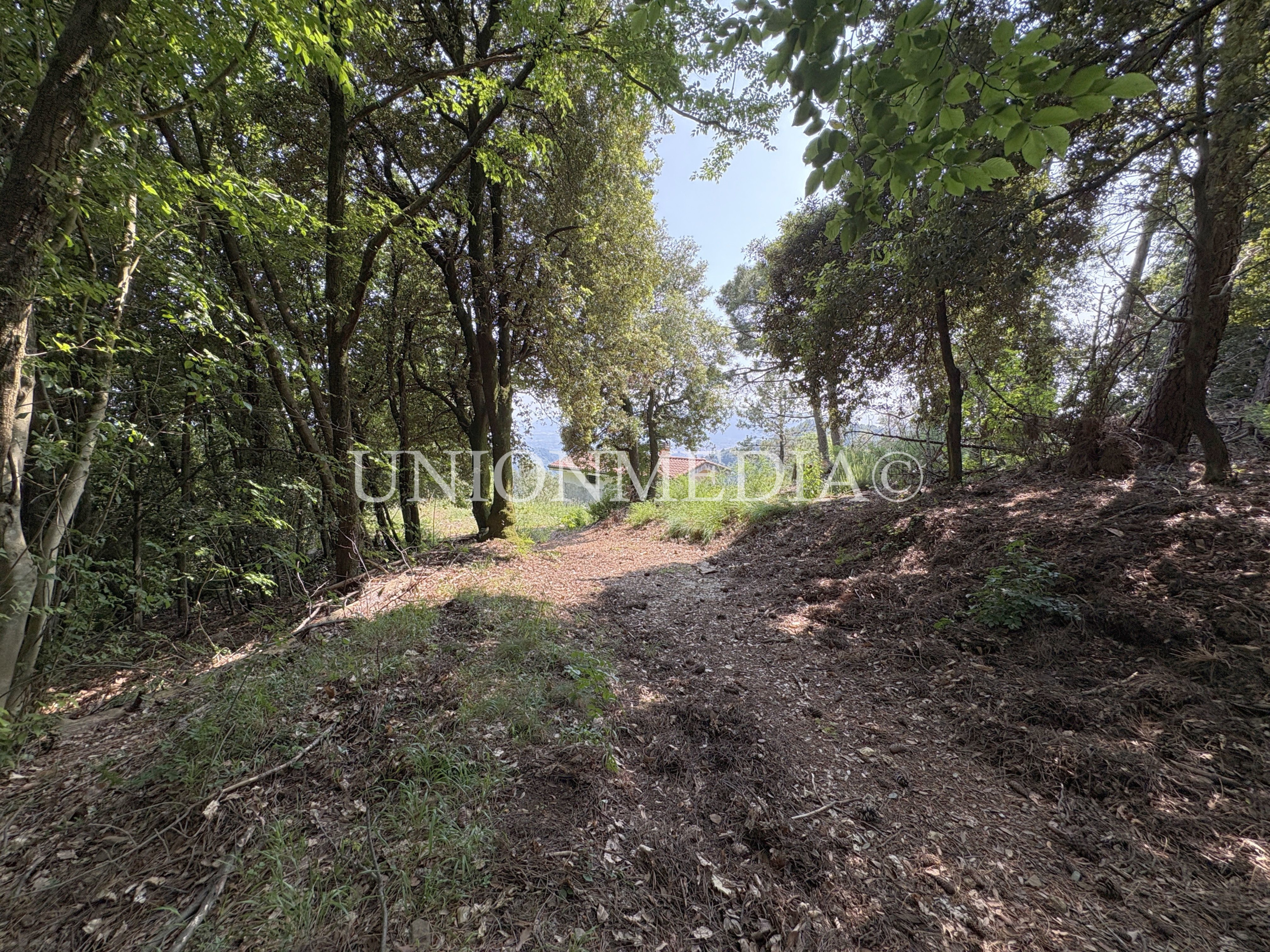 Immagine 31 di Rustico / casale in vendita  in via carignano a Fosdinovo