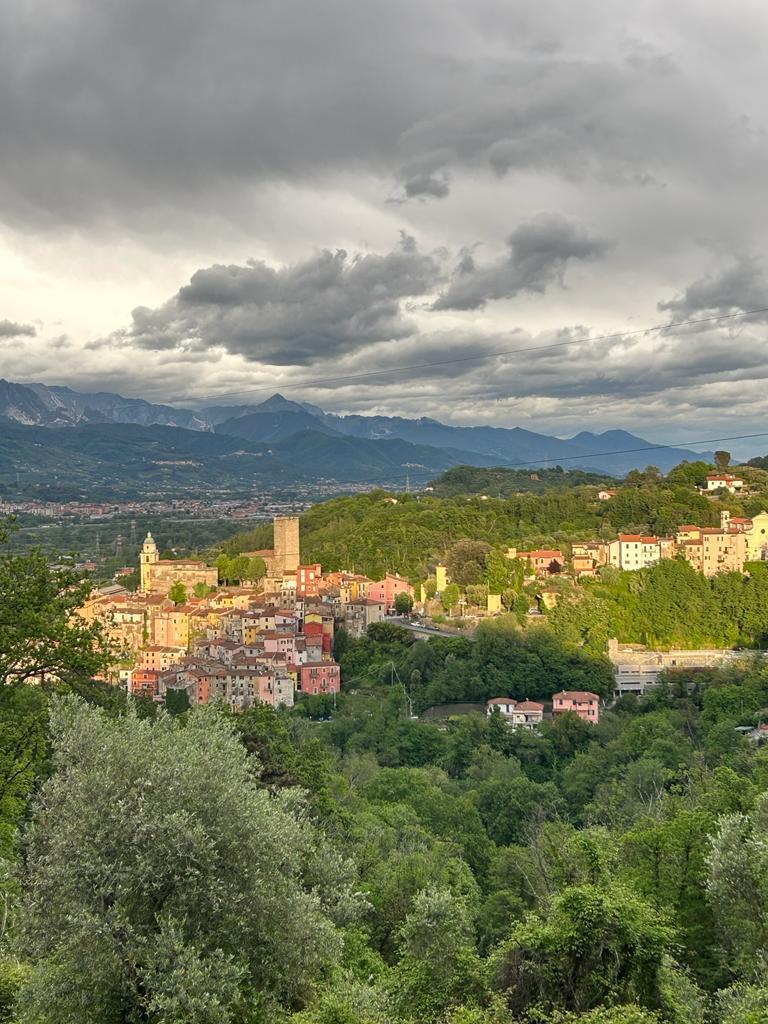 Immagine 21 di Appartamento in vendita  a Arcola