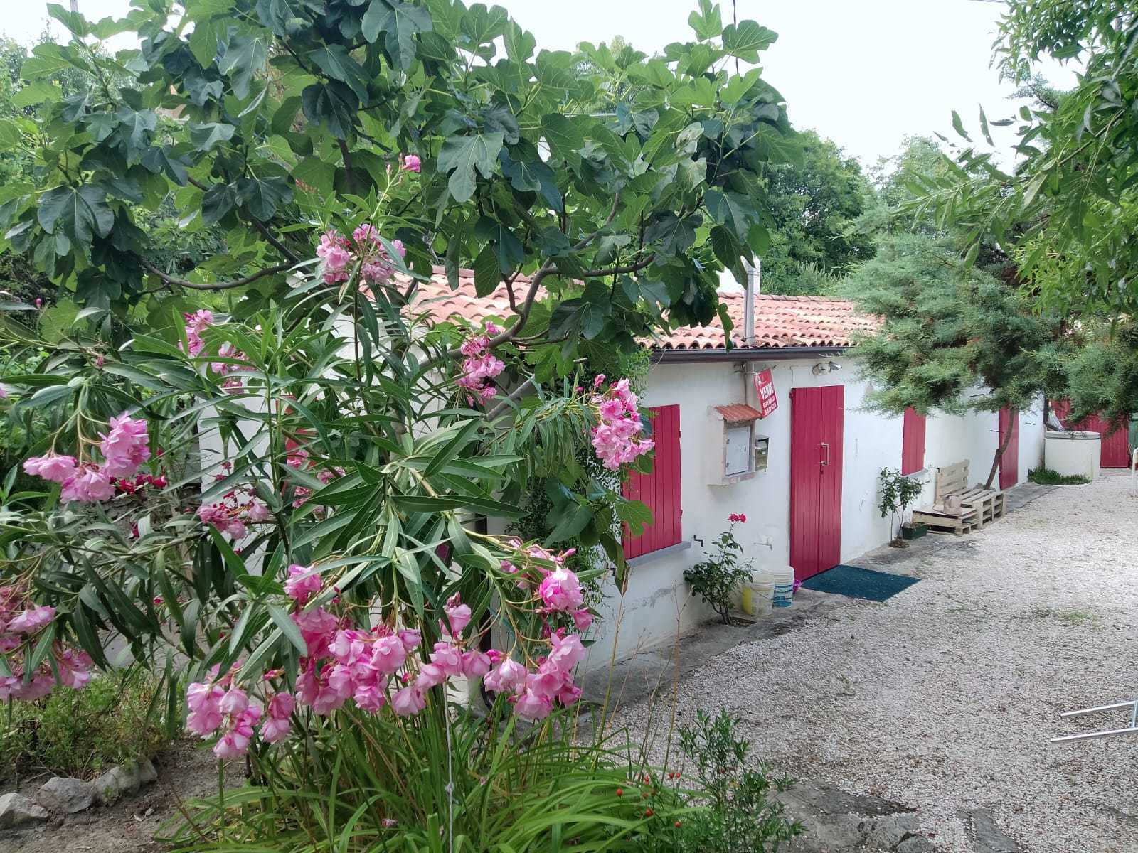 Foto annuncio 2