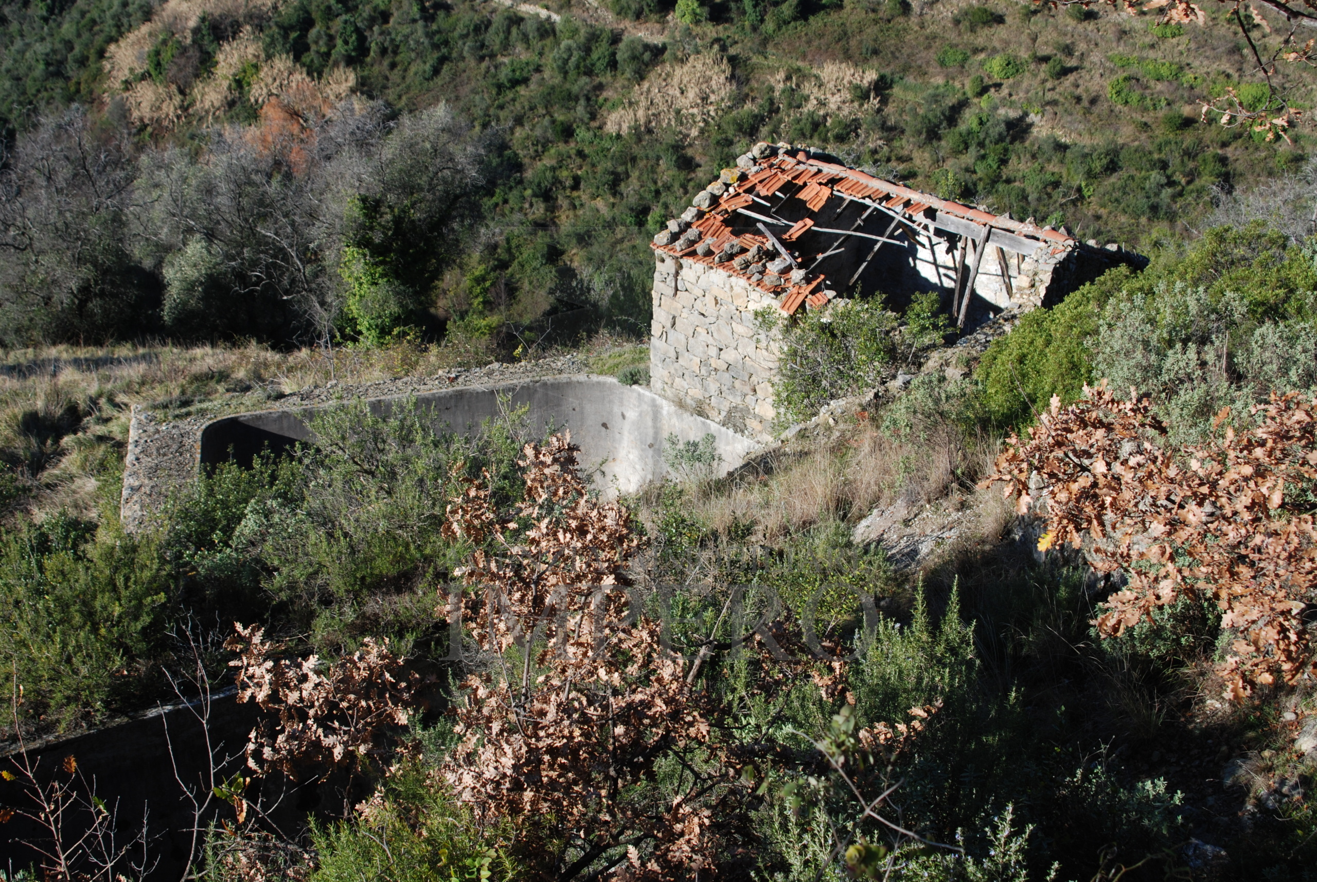 Foto annuncio 8