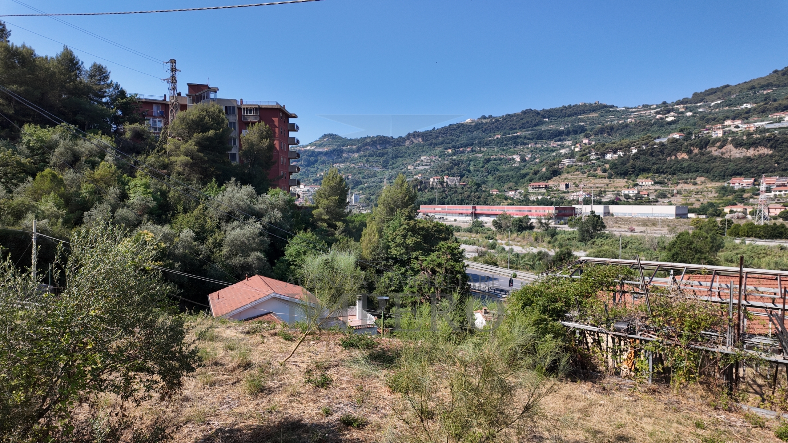 Foto annuncio 11