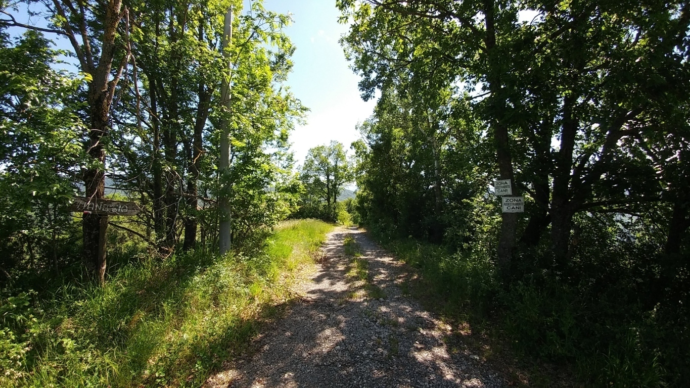 Immagine 10 di Rustico / casale in vendita  a Zocca