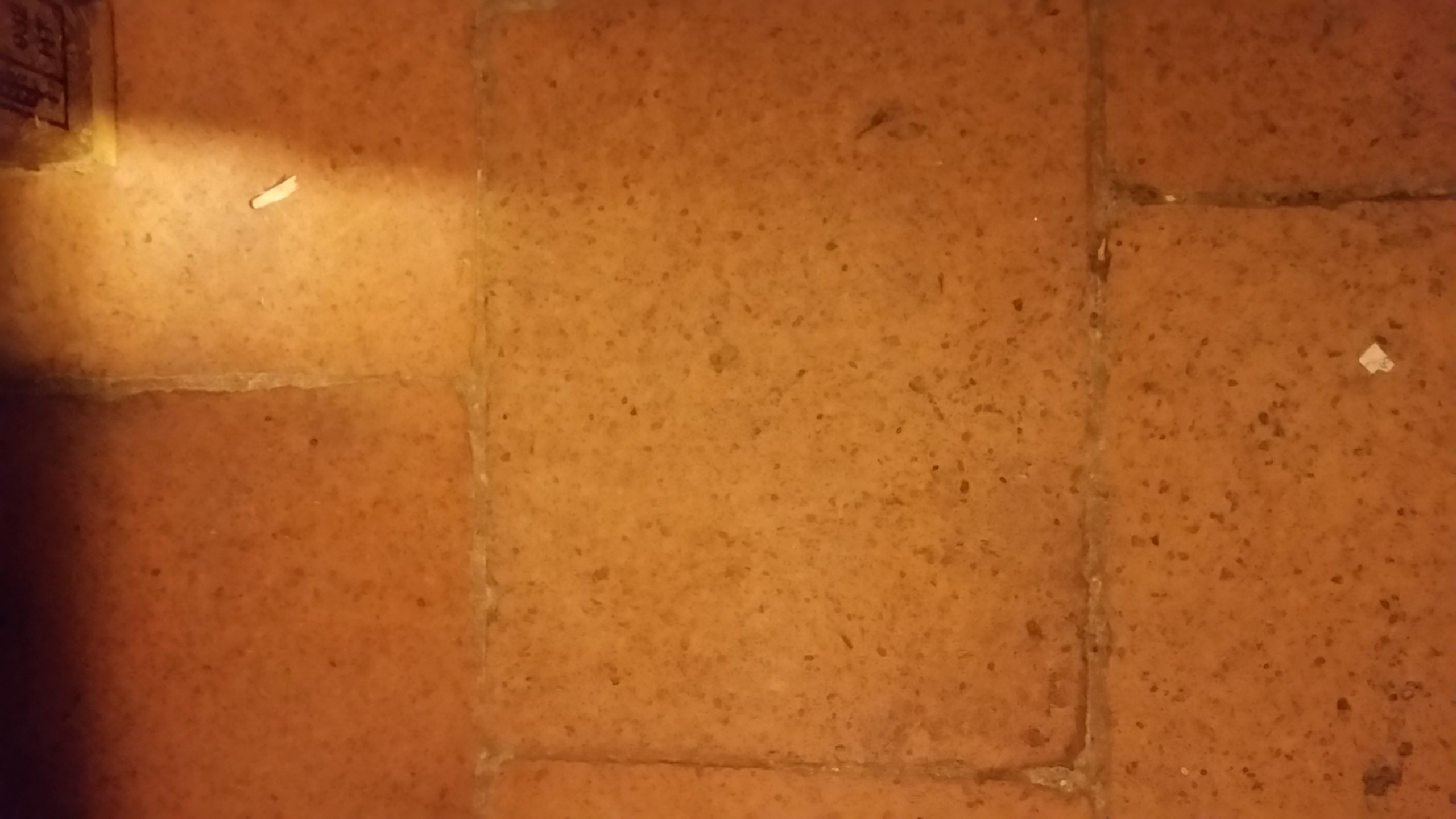 Immagine 5 di Attività commerciale in vendita  in beccheri a Lucca