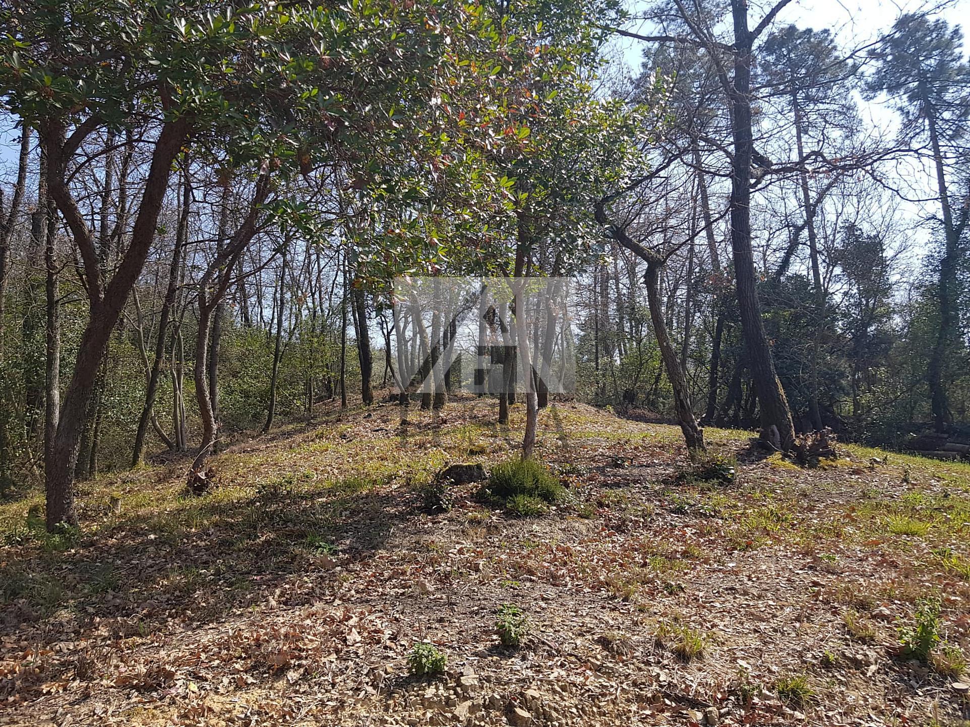 Immagine 6 di Villa in vendita  in Via montebonelli a Lucca