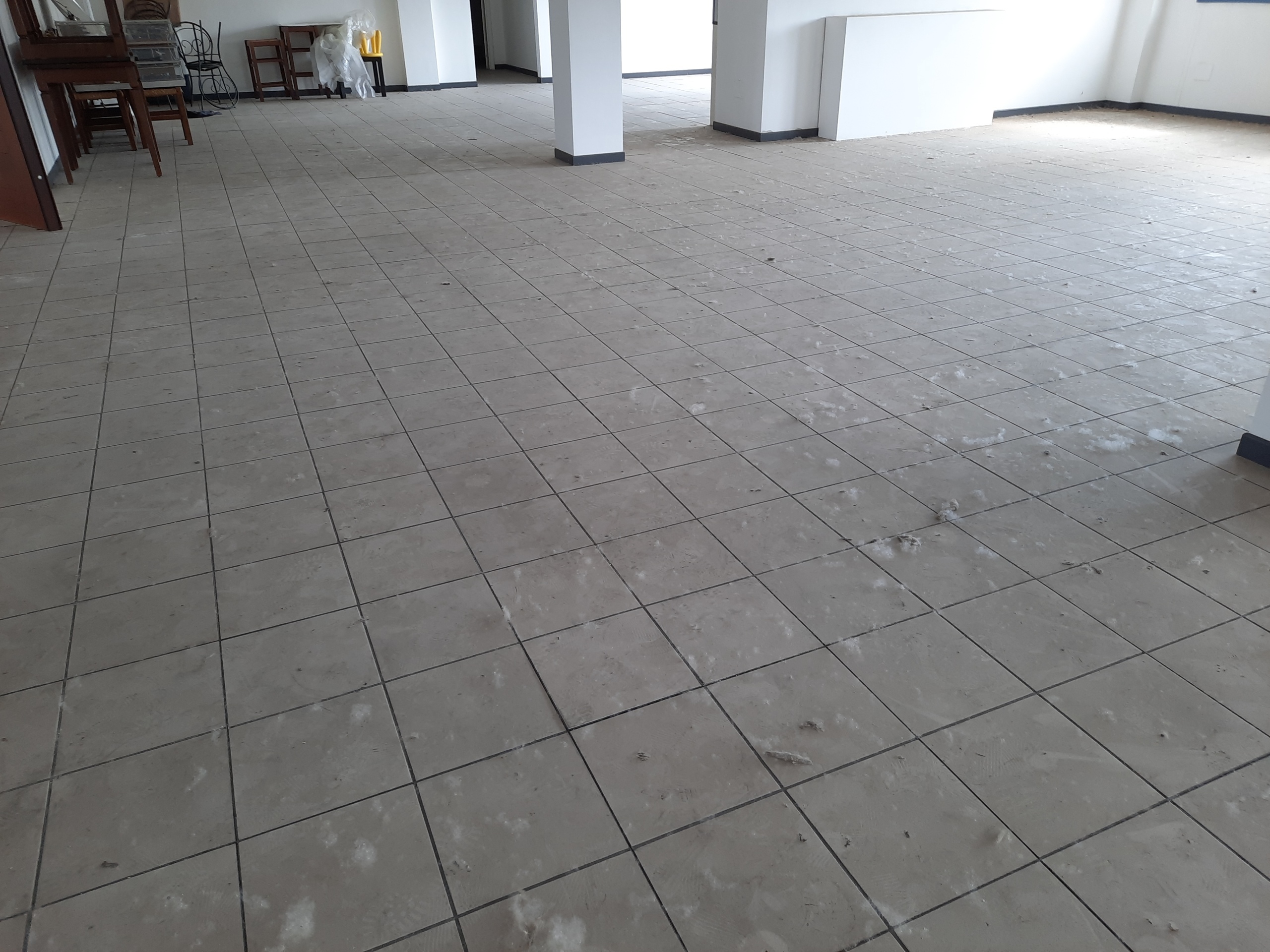 Immagine 7 di Ufficio in affitto  in Viale G. Puccini a Lucca