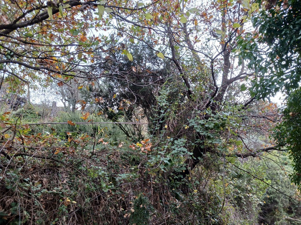 Immagine 13 di Casa indipendente in vendita  a Arcola