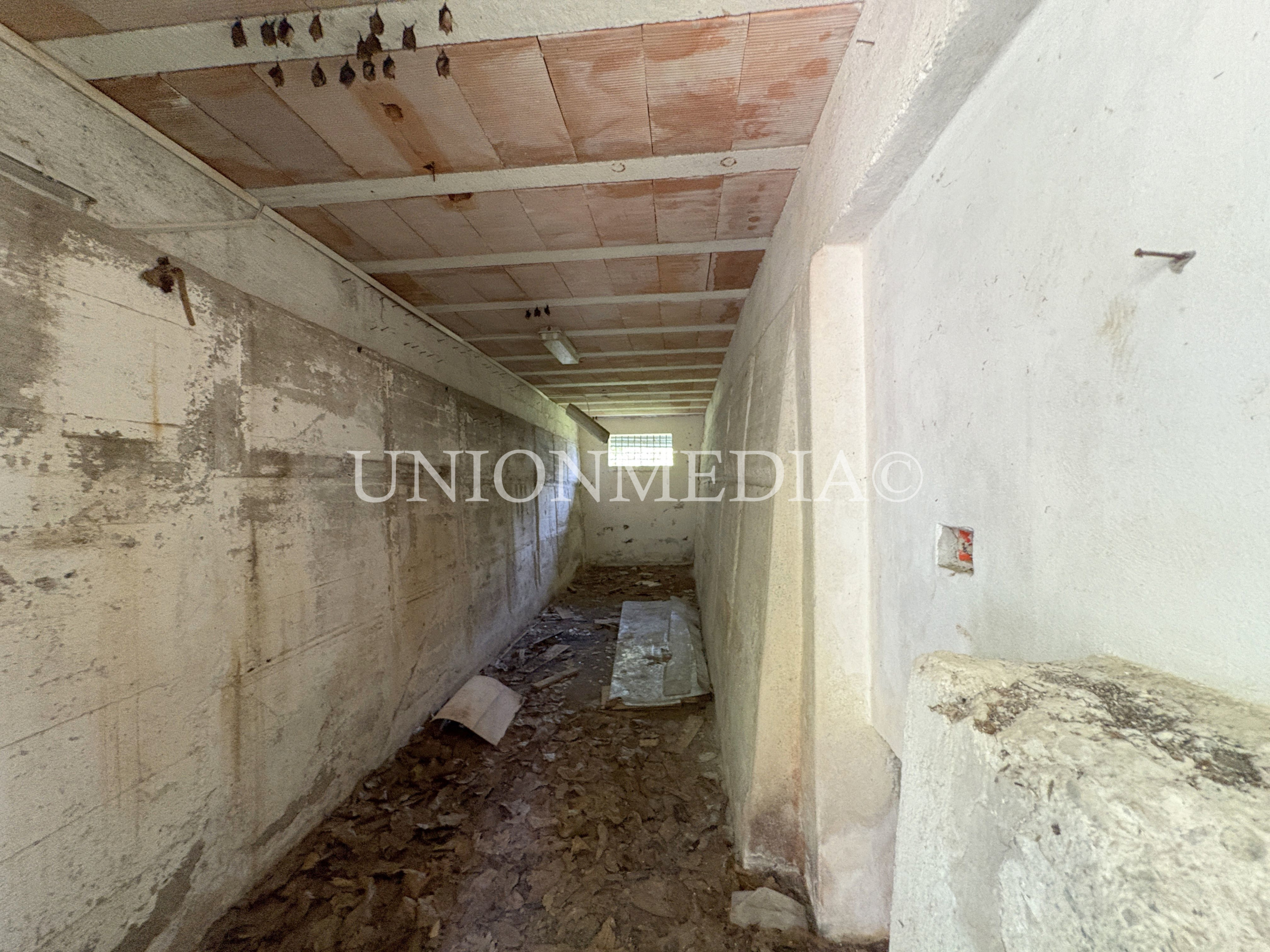 Immagine 27 di Rustico / casale in vendita  in via carignano a Fosdinovo