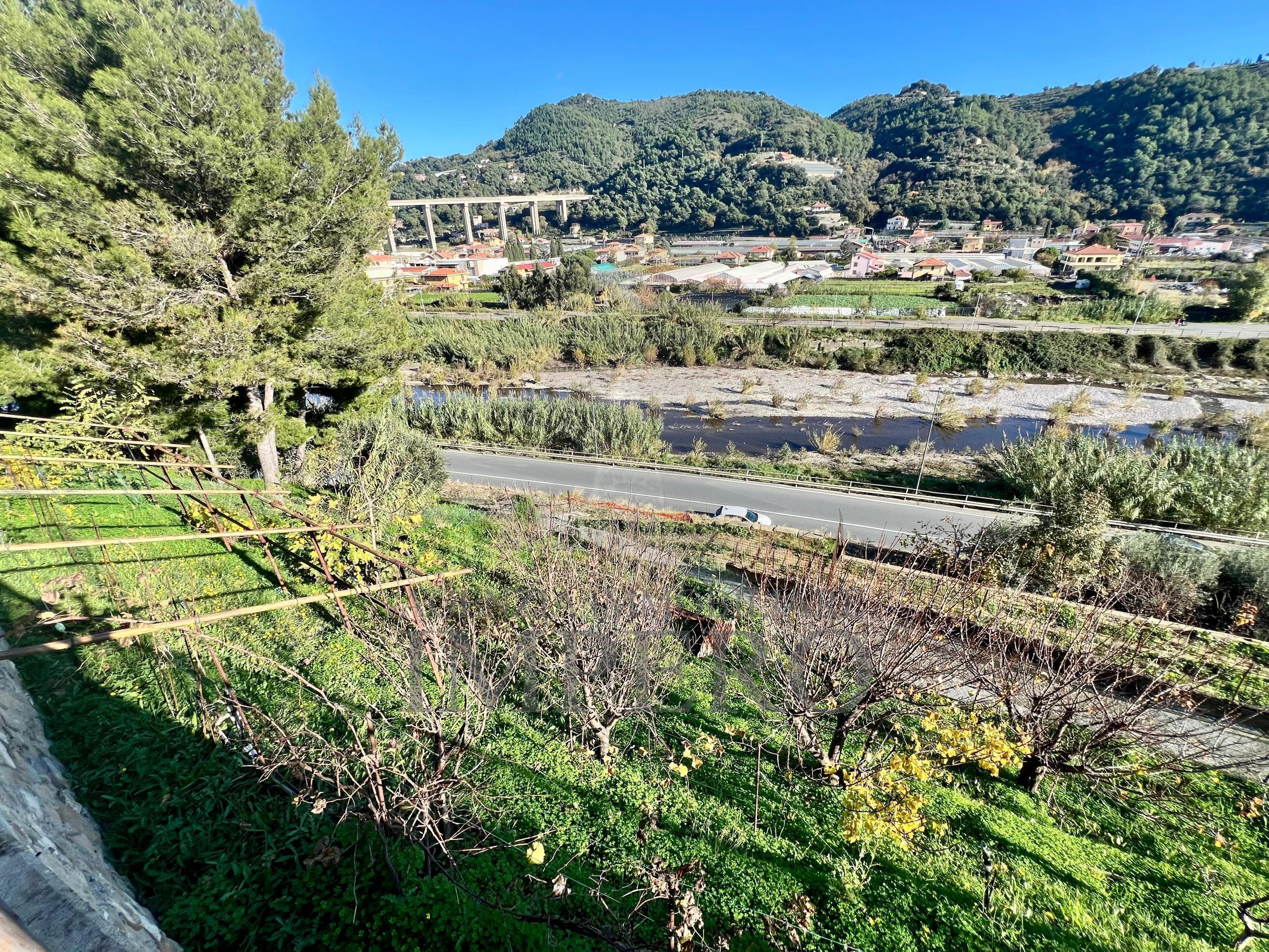 Foto annuncio 44