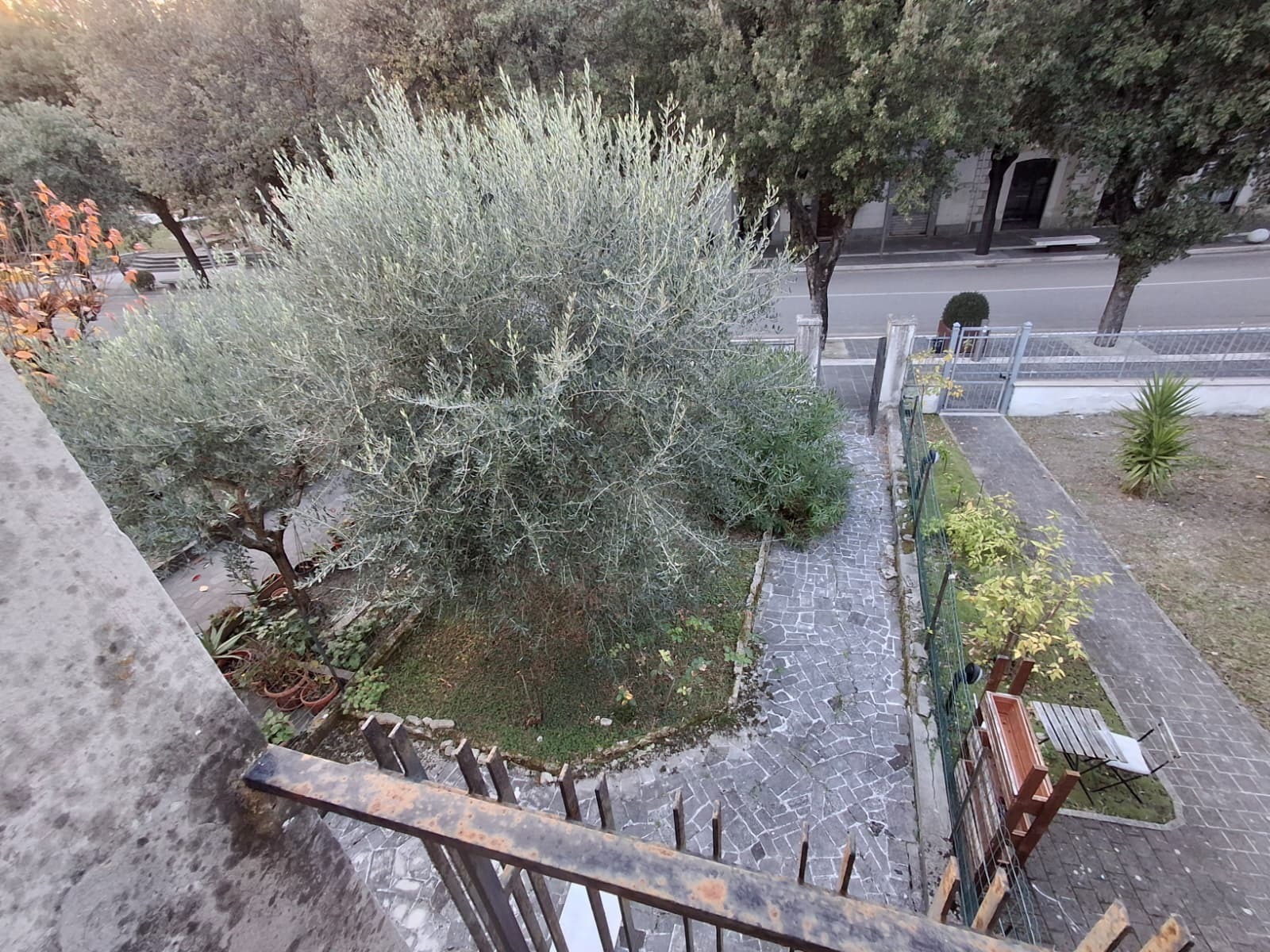 Foto annuncio 3