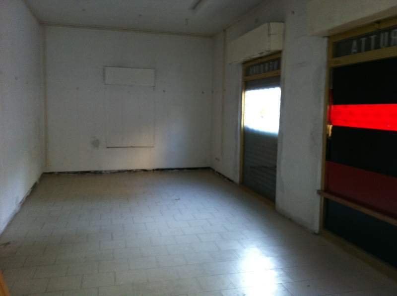 Immagine 7 di Capannone industriale in vendita  in Via Luigi Nerici a Lucca