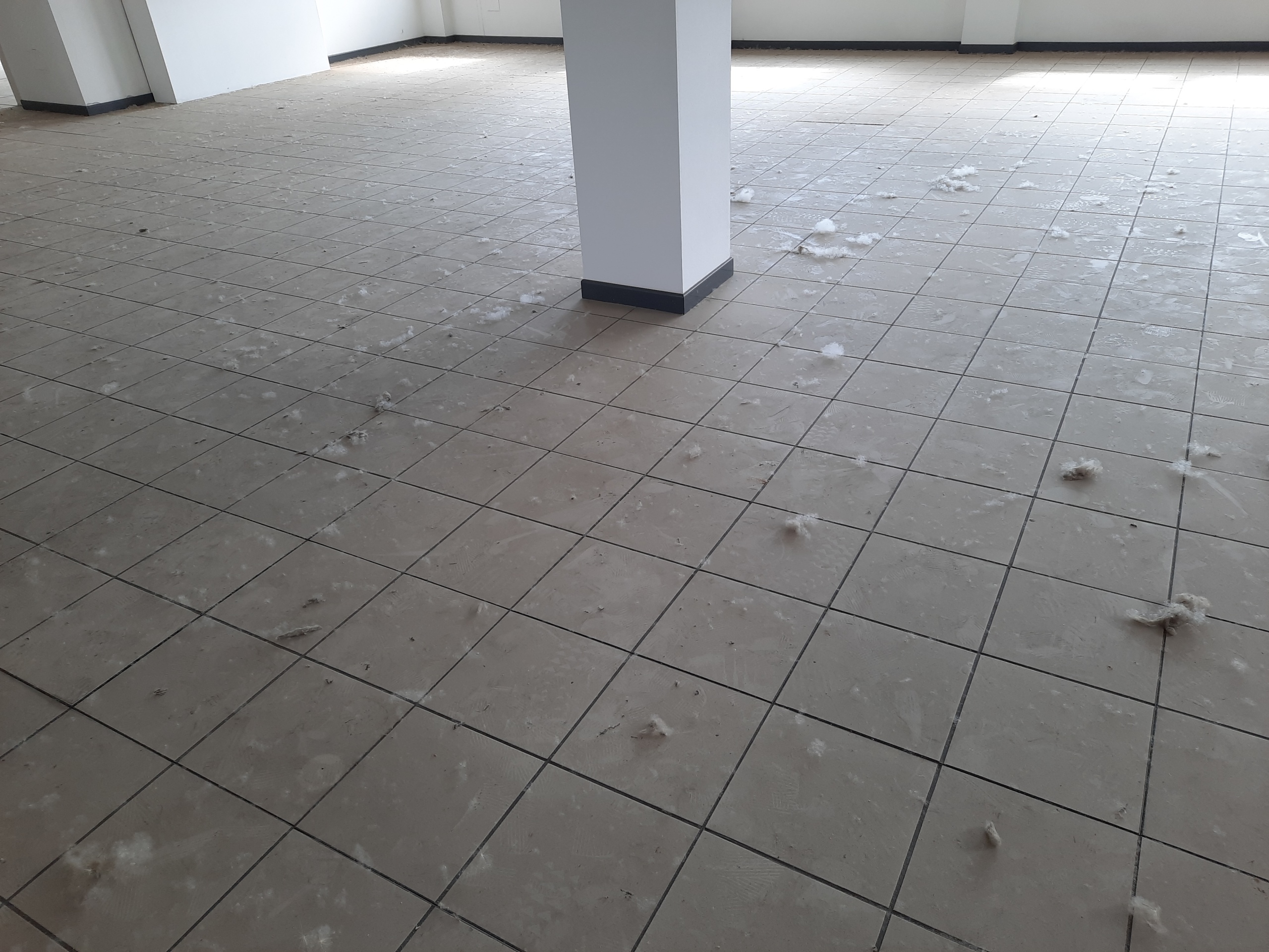 Immagine 6 di Ufficio in affitto  in Viale G. Puccini a Lucca