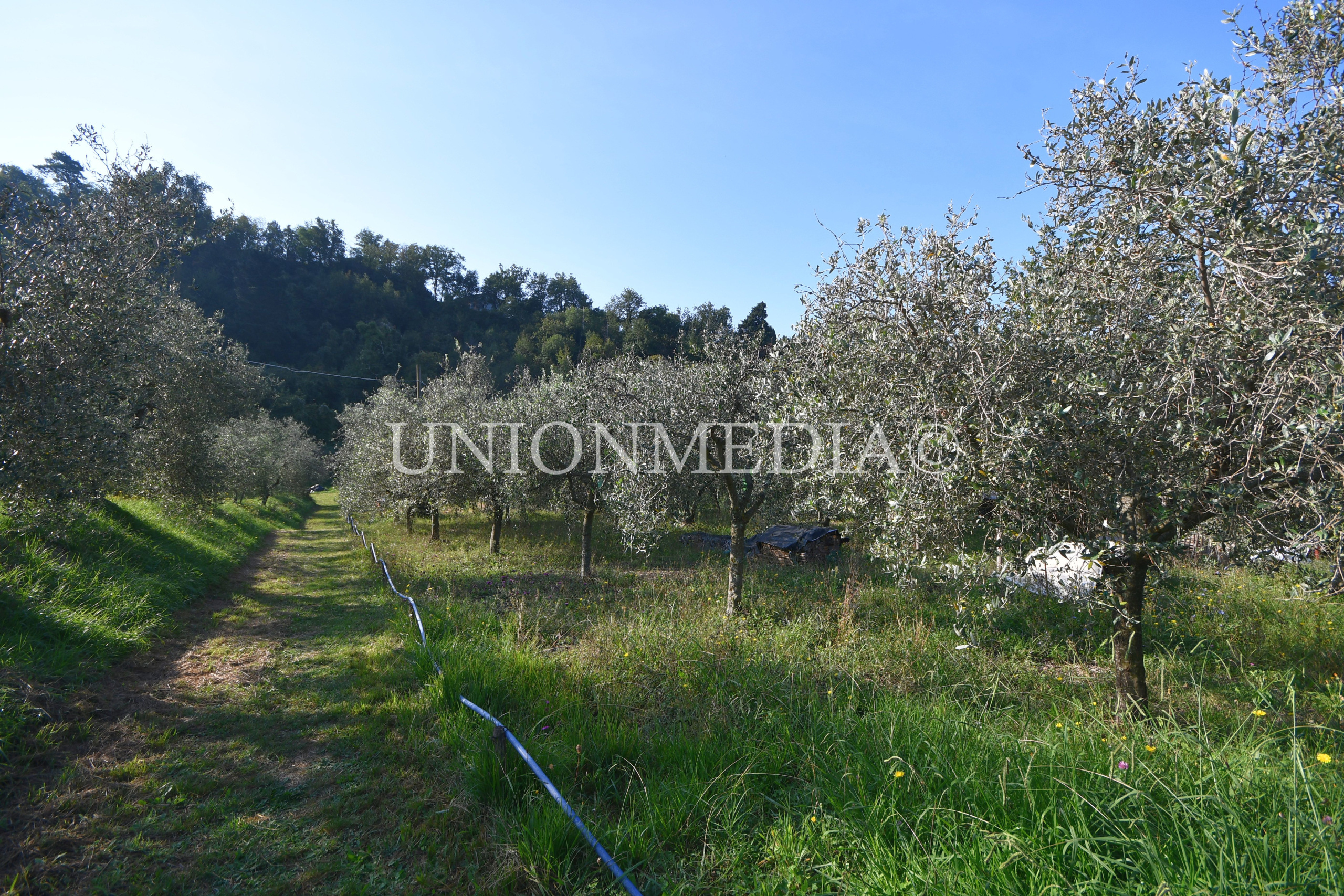 Immagine 31 di Casa indipendente in vendita  in Via boccognano a Fosdinovo