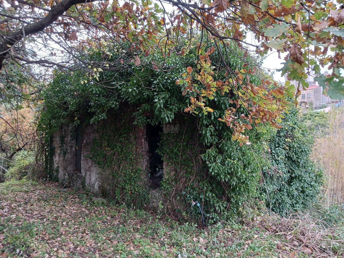 Immagine 3 di Casa indipendente in vendita  a Arcola