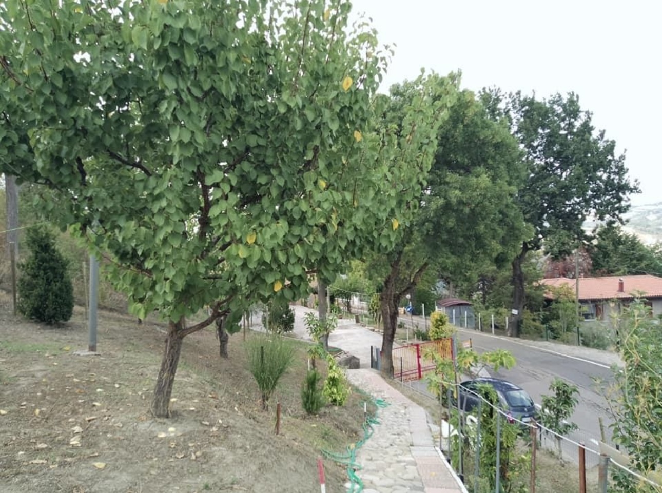 Immagine 4 di Villetta a schiera in vendita  in Via Cà Onofri 34 a Sogliano Al Rubicone