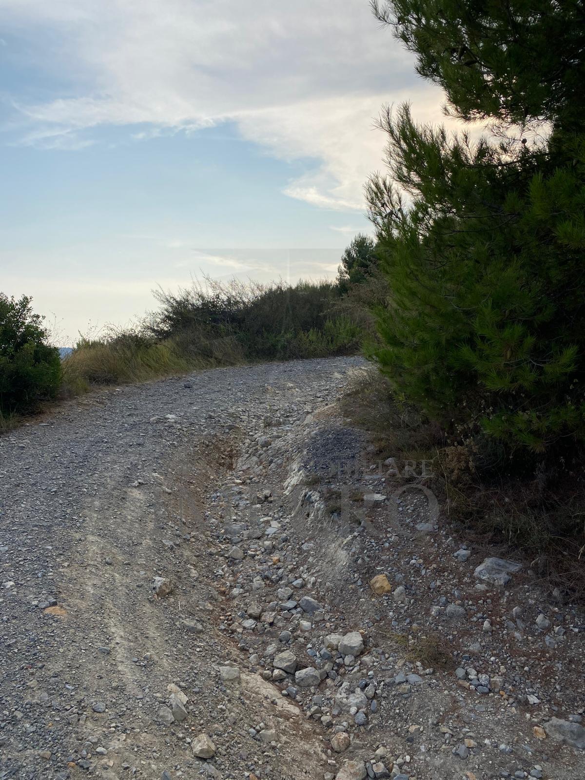 Foto annuncio 19