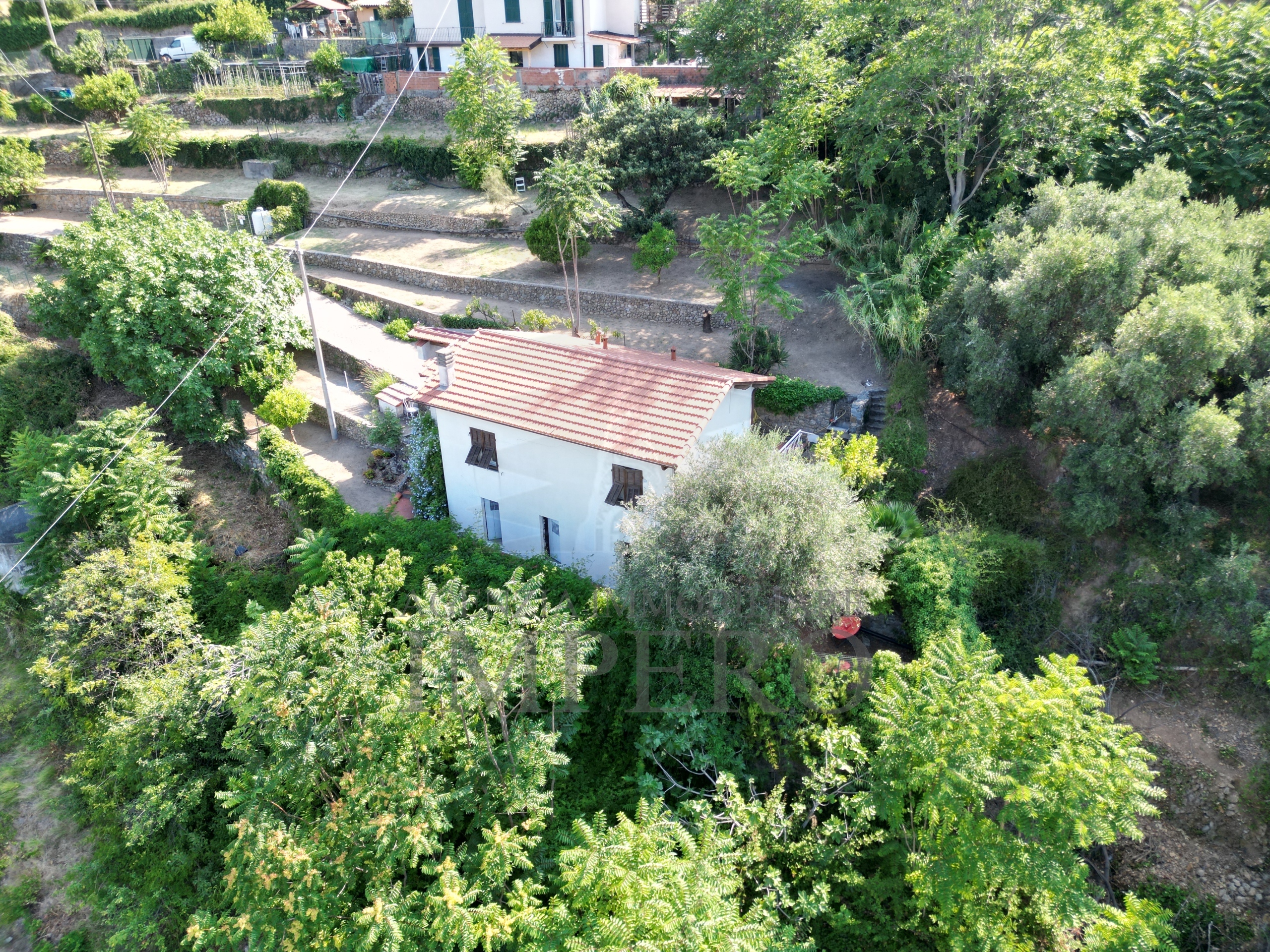 Foto annuncio 20
