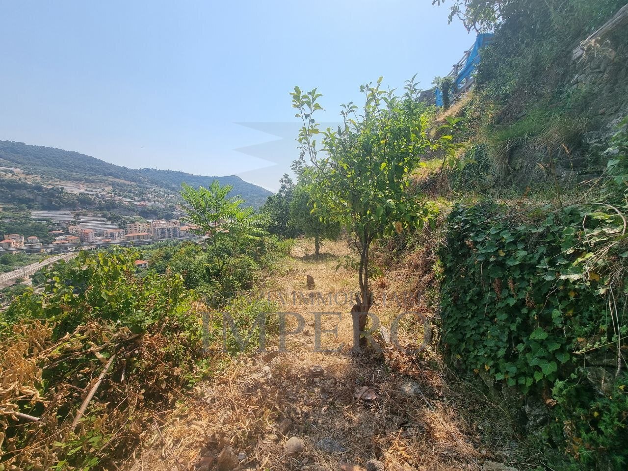 Foto annuncio 8