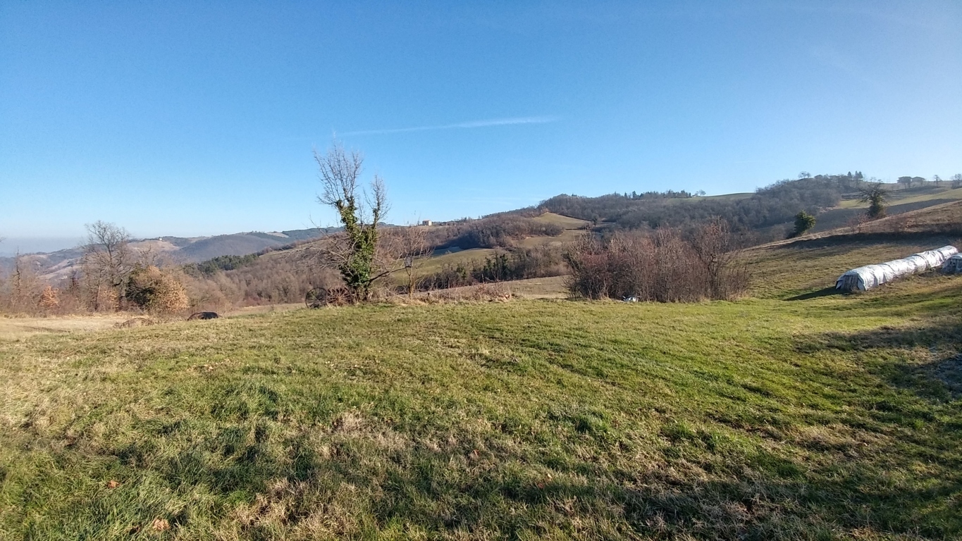 Immagine 4 di Rustico / casale in vendita  in VIA del mercato 33 a Zocca
