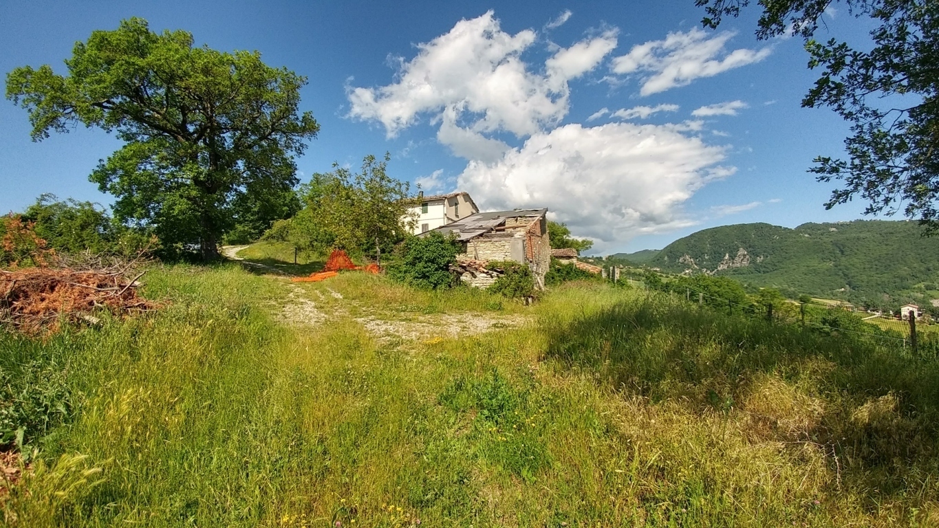 Immagine 2 di Rustico / casale in vendita  a Zocca