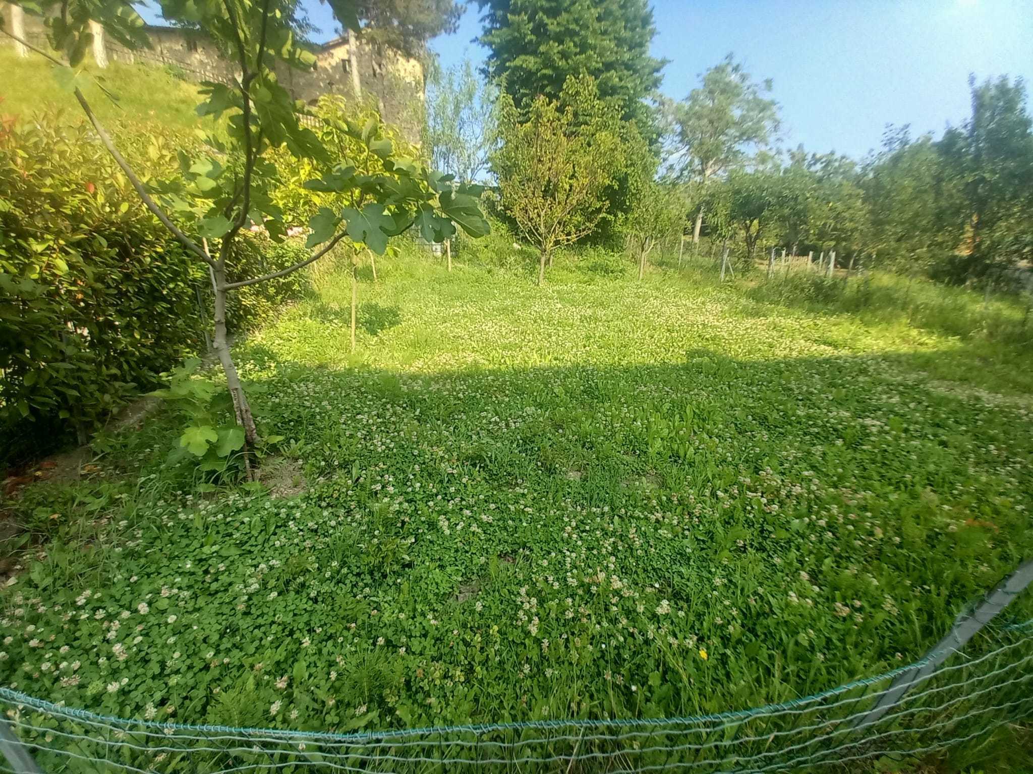 Foto annuncio 5