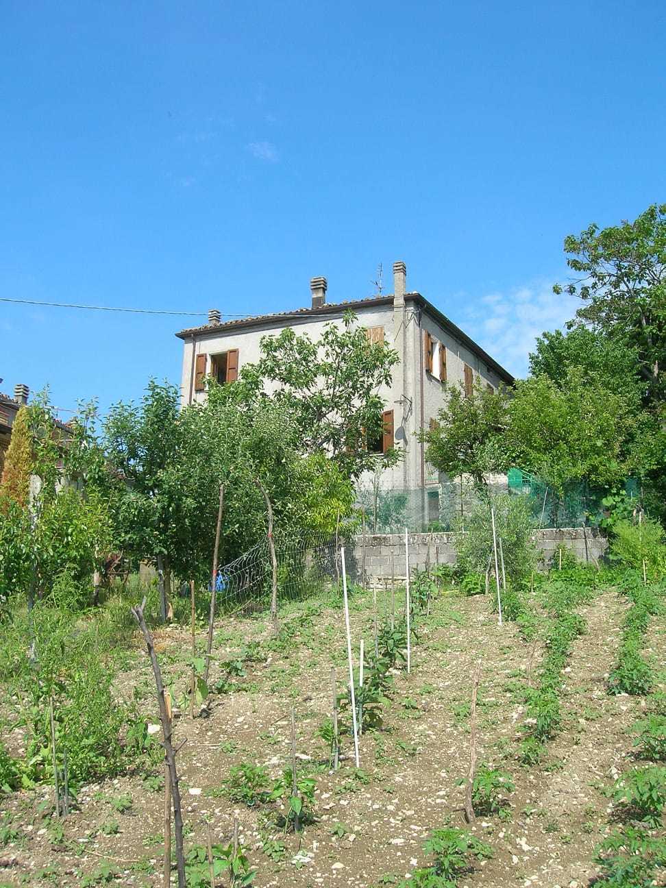 Foto annuncio 5