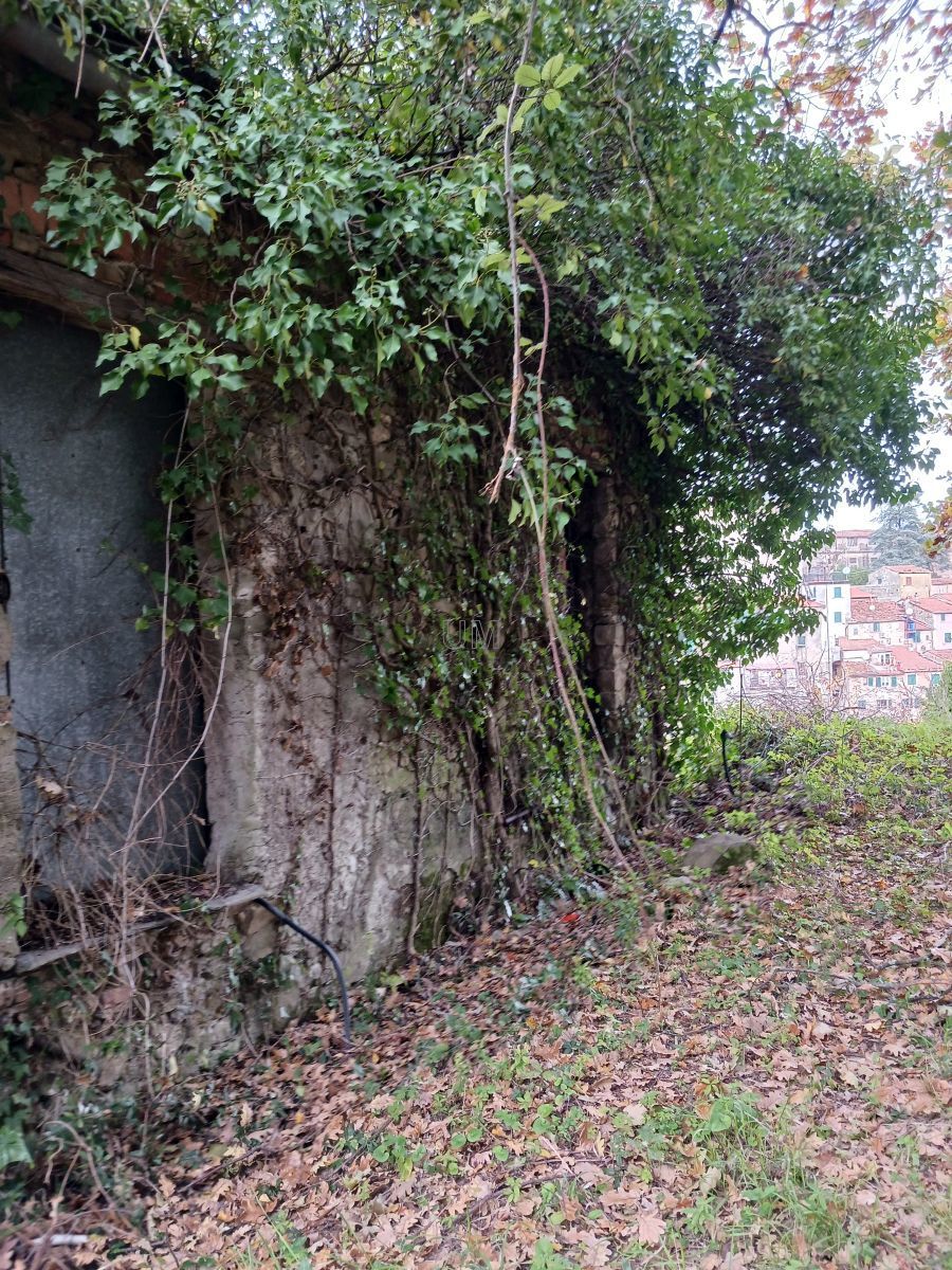 Immagine 5 di Casa indipendente in vendita  a Arcola