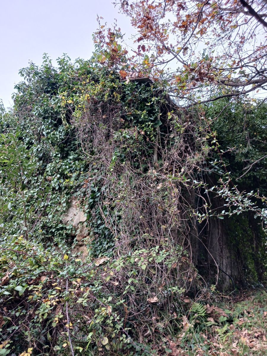 Immagine 2 di Casa indipendente in vendita  a Arcola